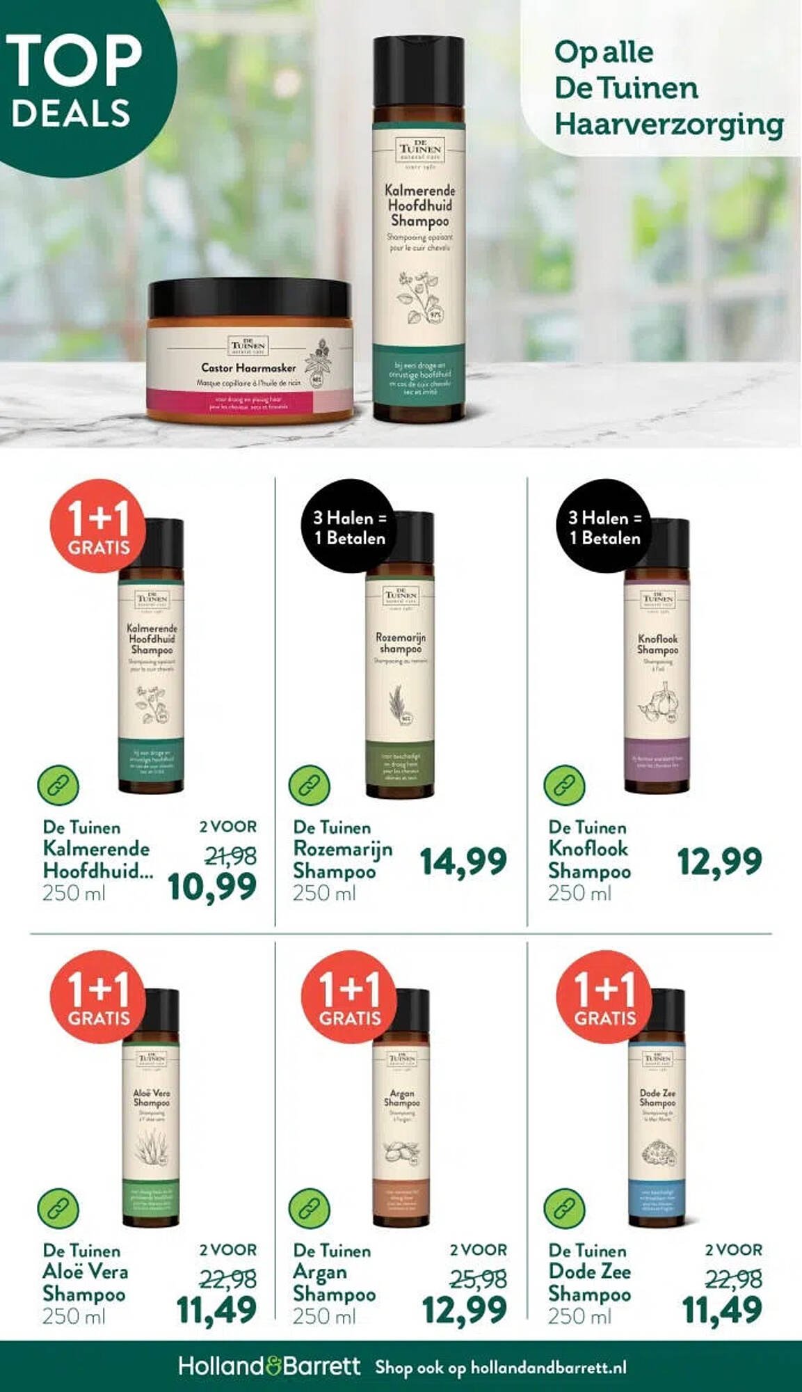 Holland &amp; Barrett folder