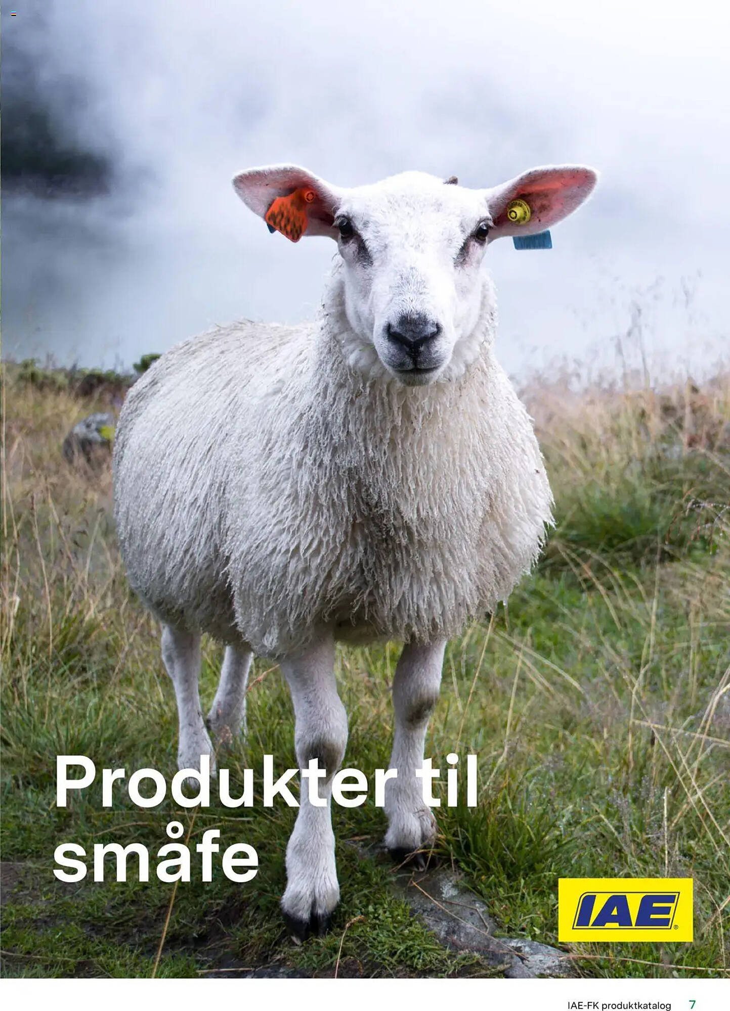 Felleskjøpet Kundeavis (2025-01-13 - 2025-12-31)