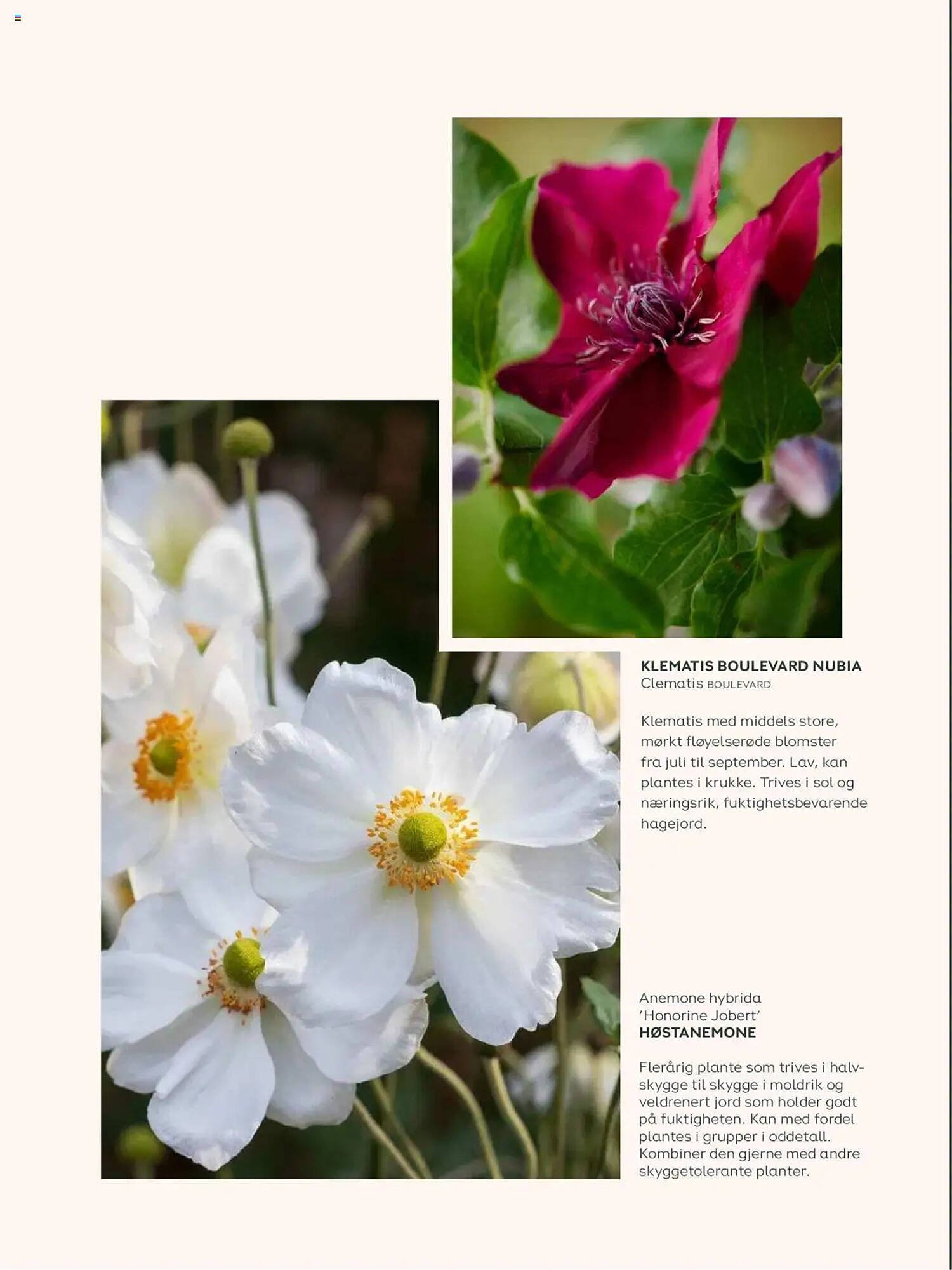 Plantasjen Kundeavis (2025-07-25 - 2025-10-10)