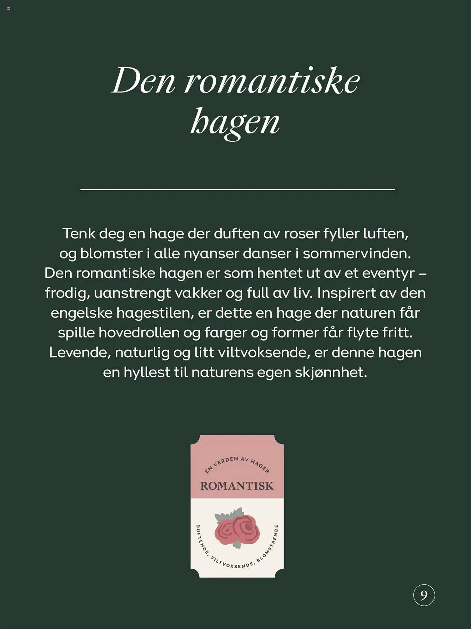 Plantasjen Kundeavis (2025-07-25 - 2025-10-10)
