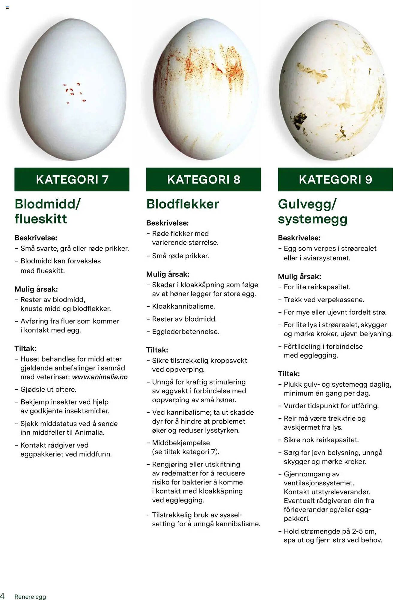 Felleskjøpet Kundeavis (2025-05-21 - 2025-12-31)