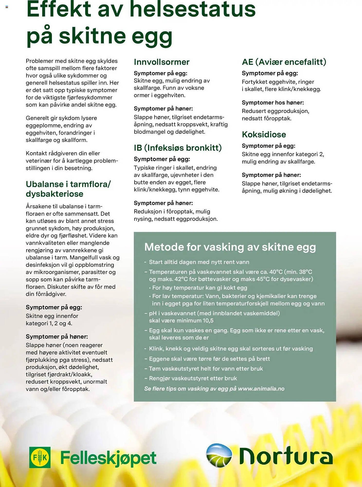 Felleskjøpet Kundeavis (2025-05-21 - 2025-12-31)