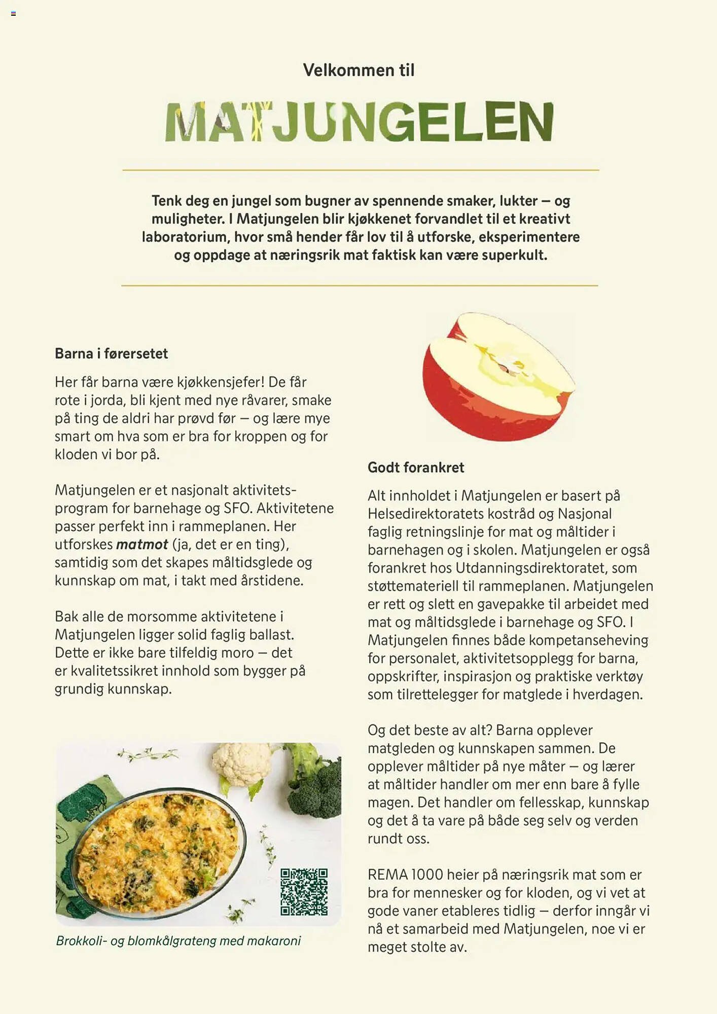 Rema 1000 Kundeavis (2025-08-11 - 2026-01-09)