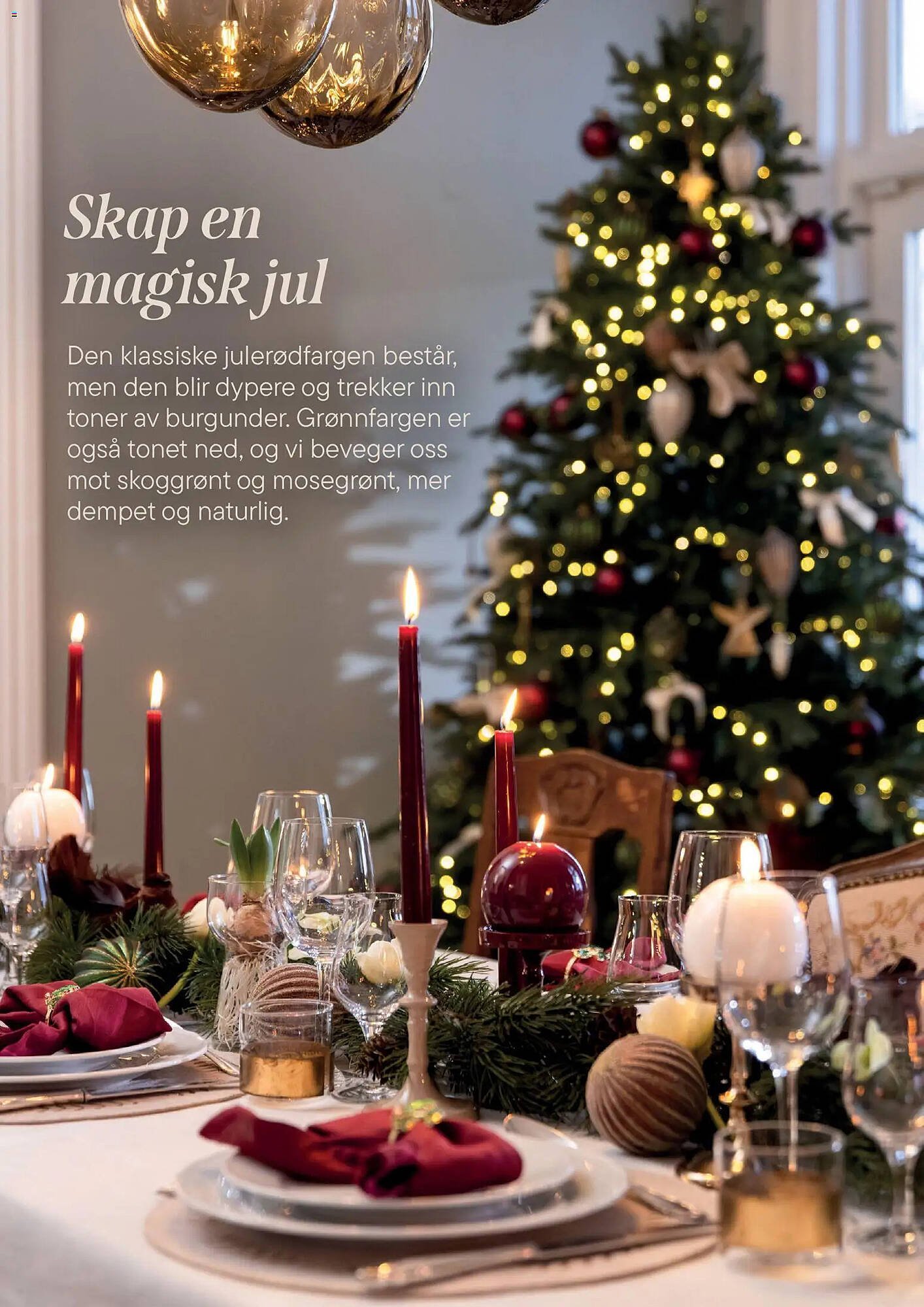 Plantasjen kundeavis (2025-12-02 - 2026-01-09)