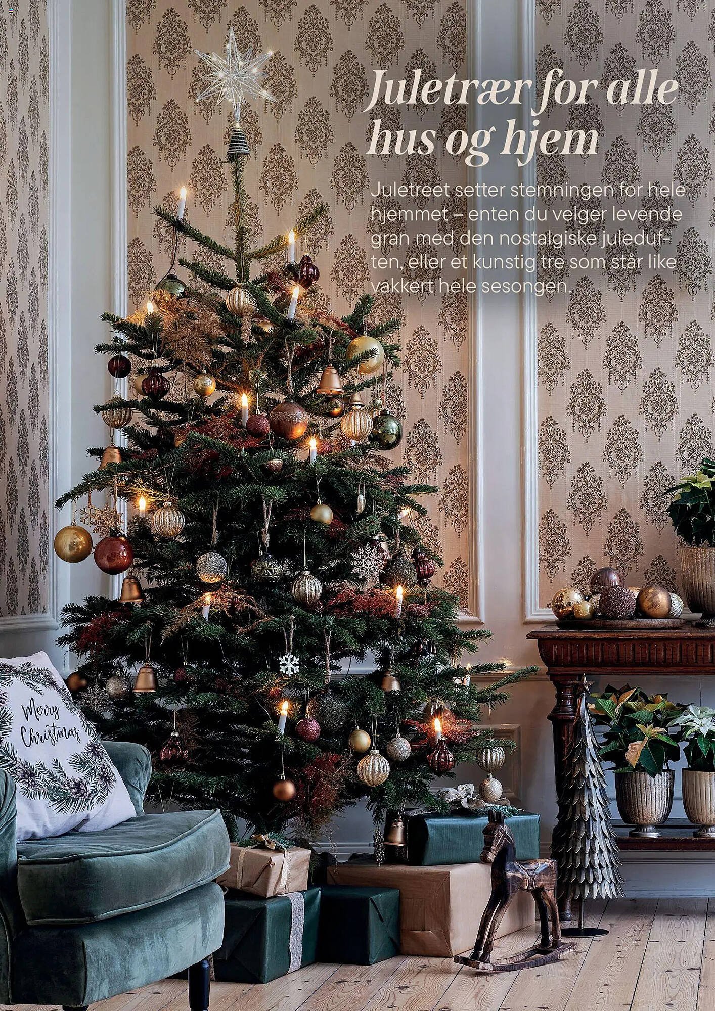 Plantasjen kundeavis (2025-12-02 - 2026-01-09)