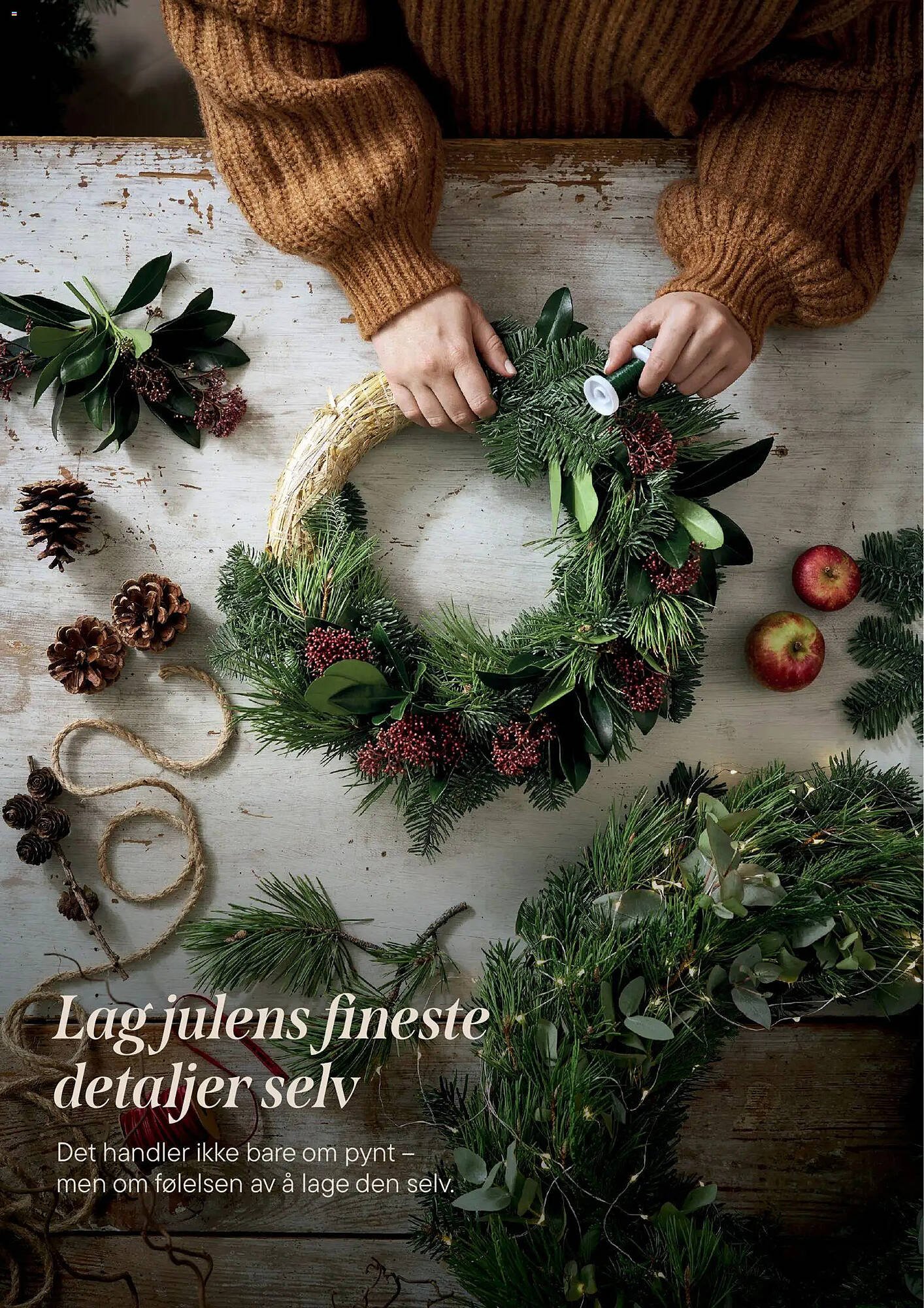 Plantasjen kundeavis (2025-12-02 - 2026-01-09)