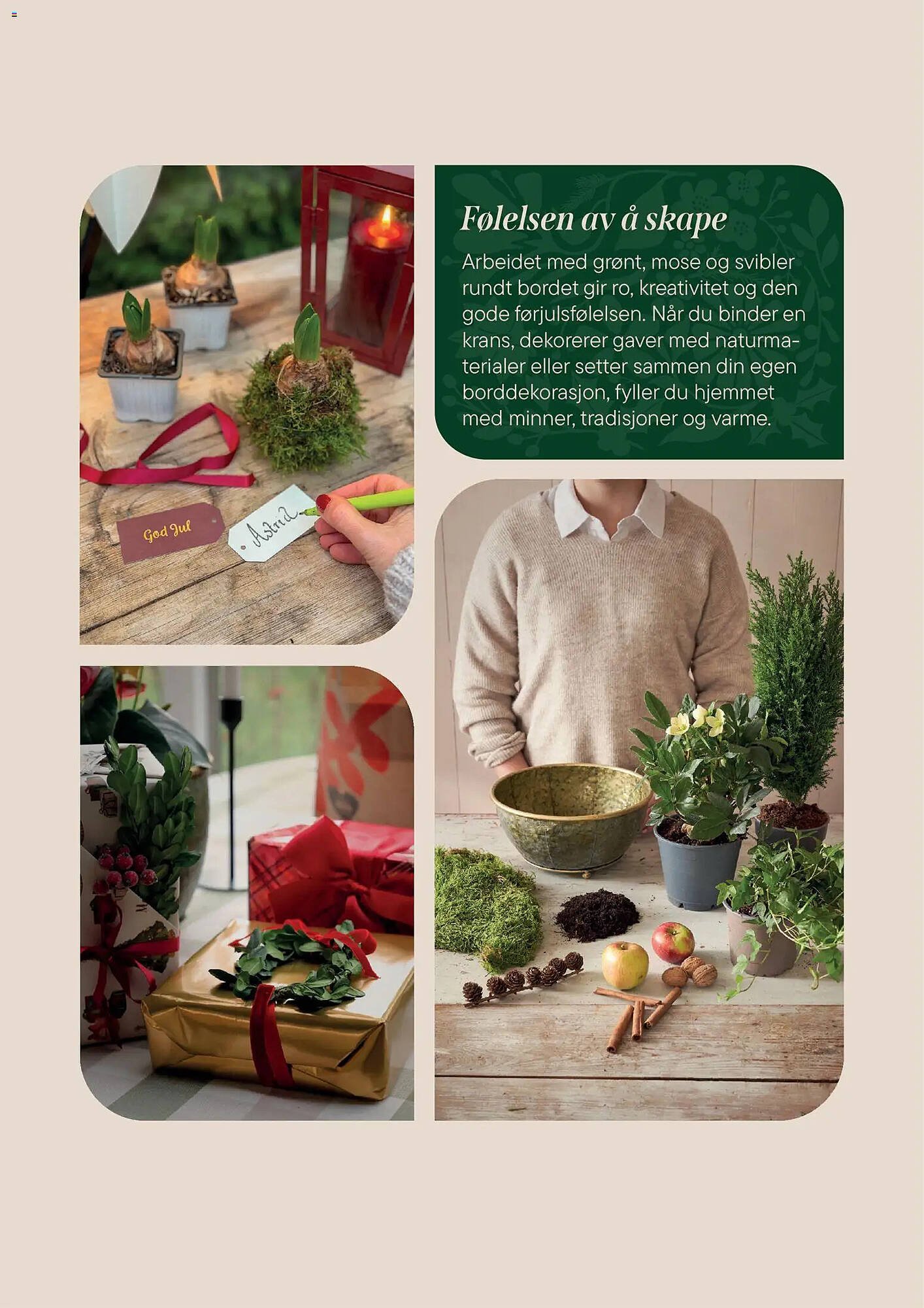 Plantasjen kundeavis (2025-12-02 - 2026-01-09)