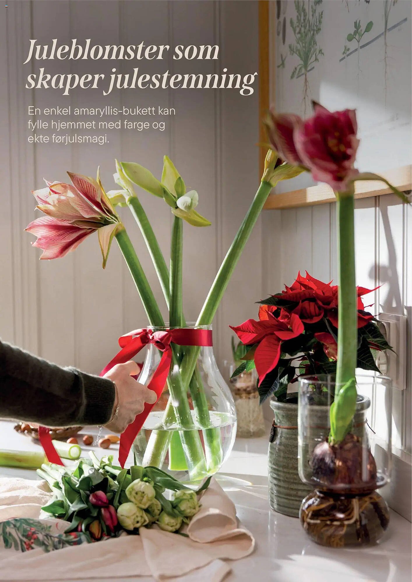 Plantasjen kundeavis (2025-12-02 - 2026-01-09)