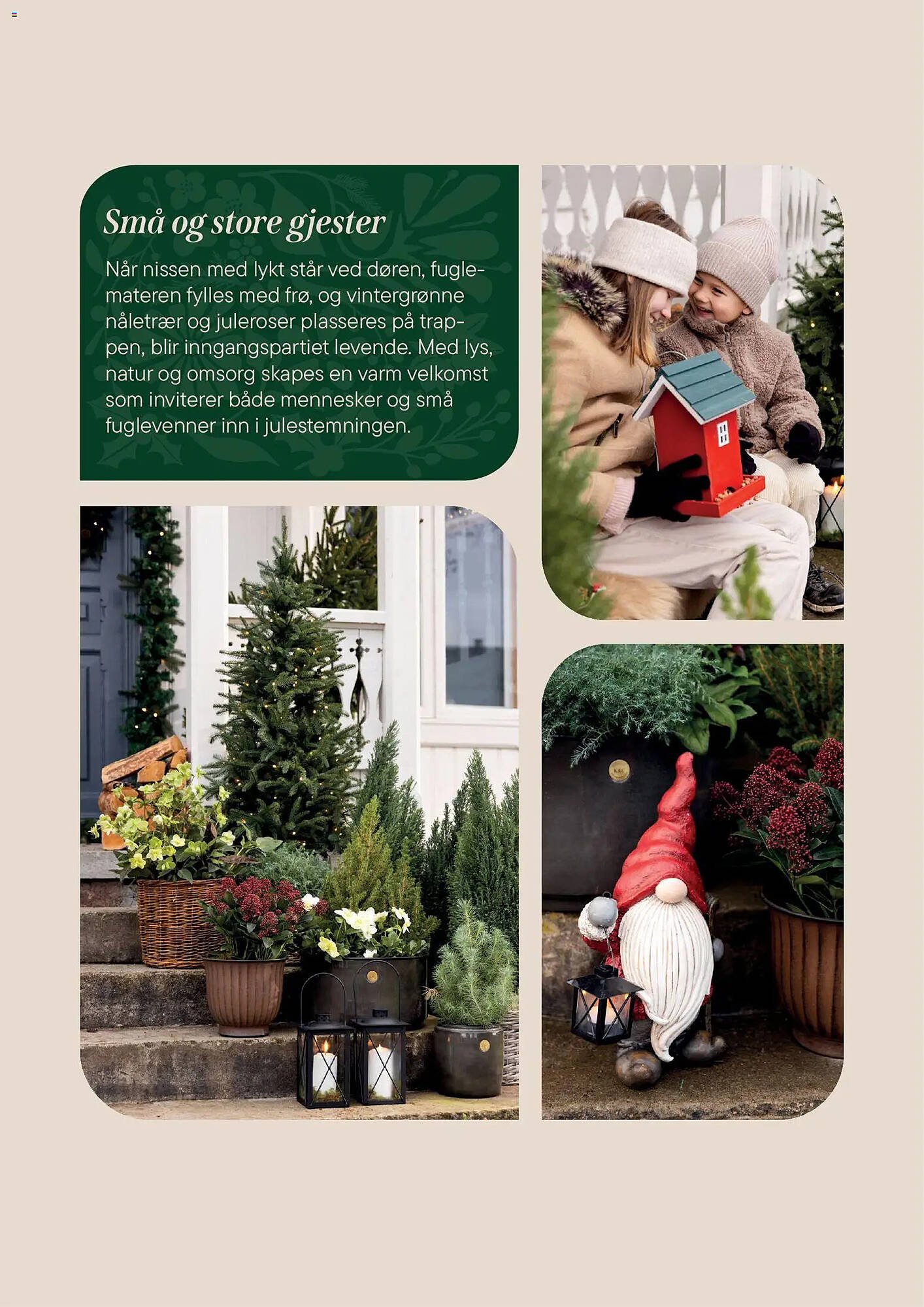 Plantasjen kundeavis (2025-12-02 - 2026-01-09)