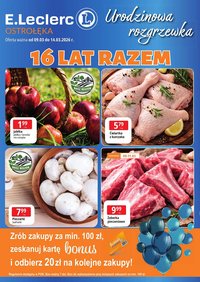 E.Leclerc gazetka (2026-03-09 - 2026-03-14)