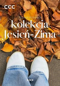 CCC gazetka (2025-11-16 - 2025-11-23)