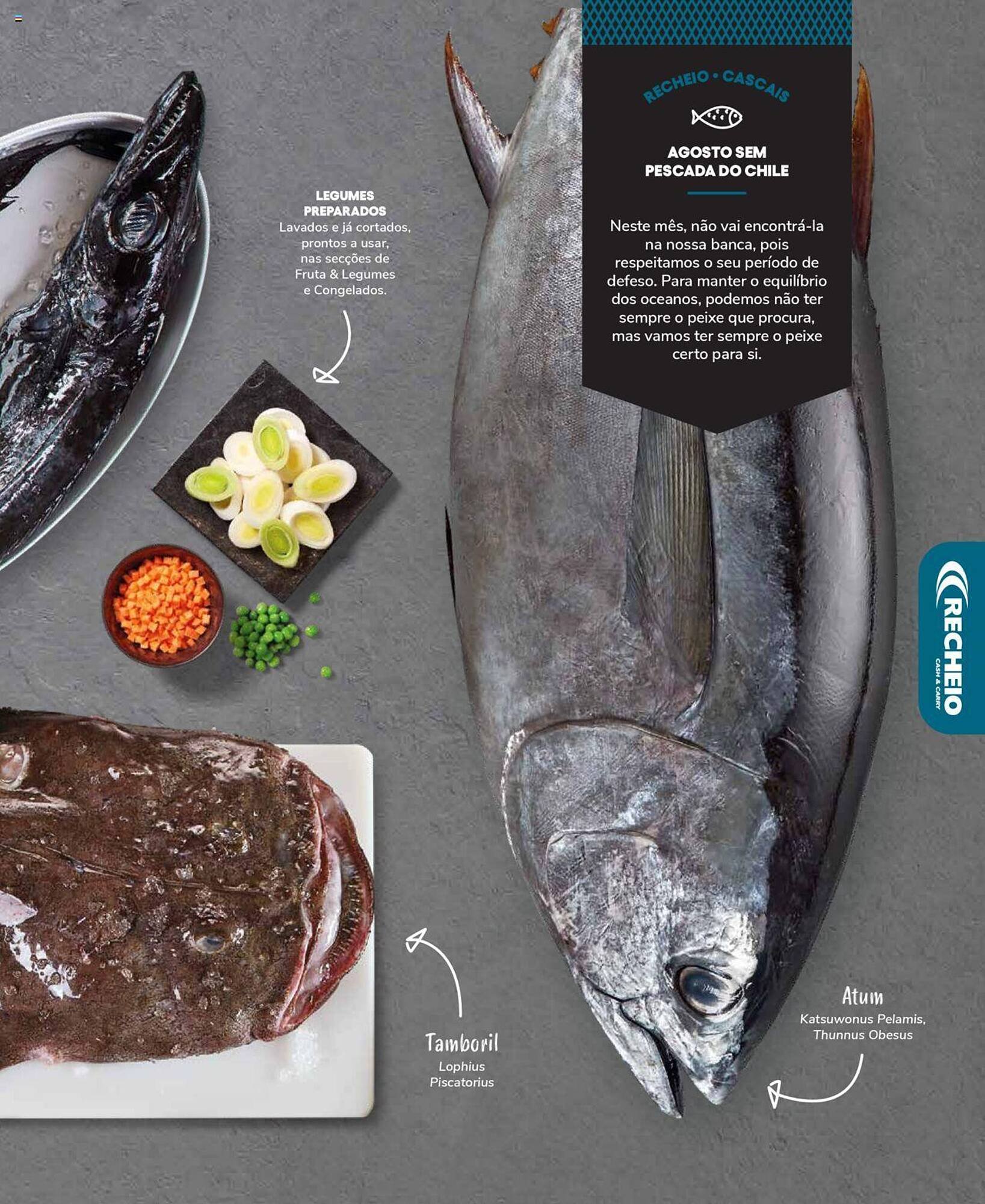 Folheto Recheio (2024-12-19 - 2025-12-31) | 13