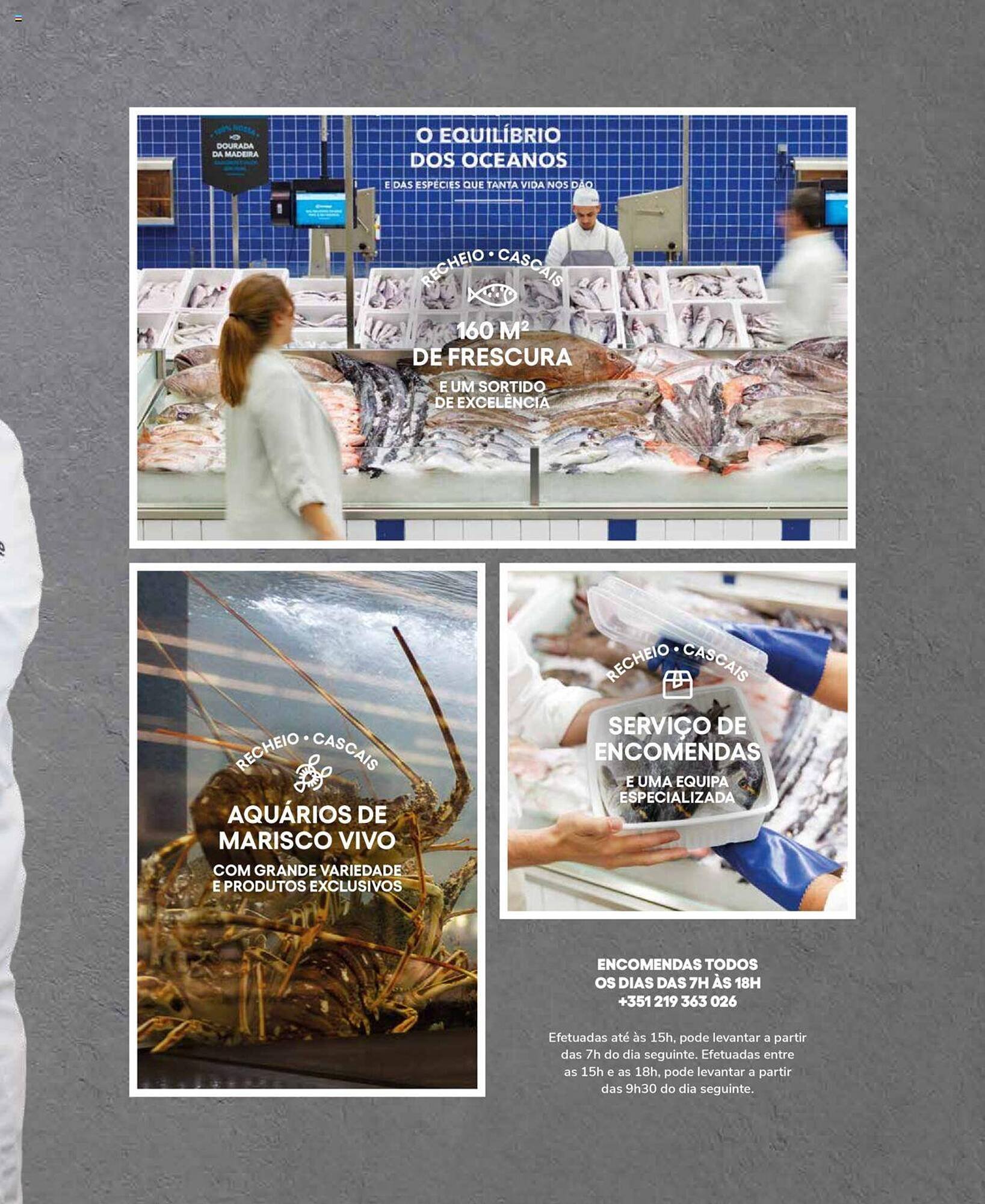 Folheto Recheio (2024-12-19 - 2025-12-31) | 3