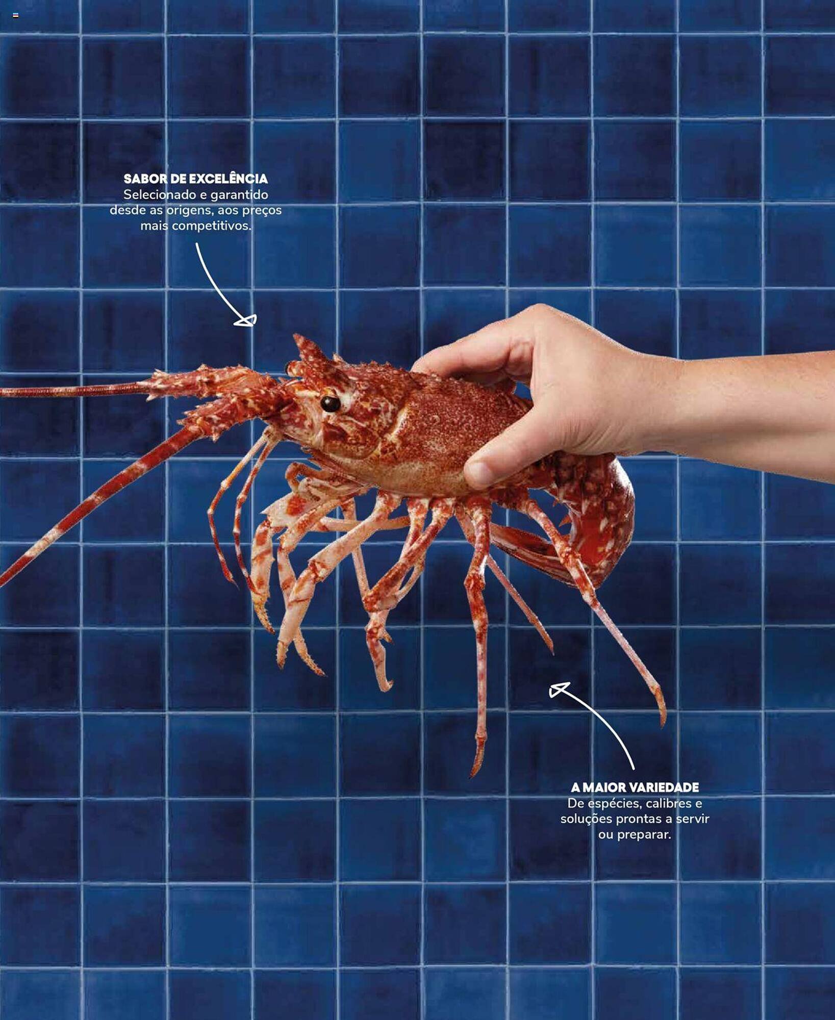 Folheto Recheio (2024-12-19 - 2025-12-31) | 23