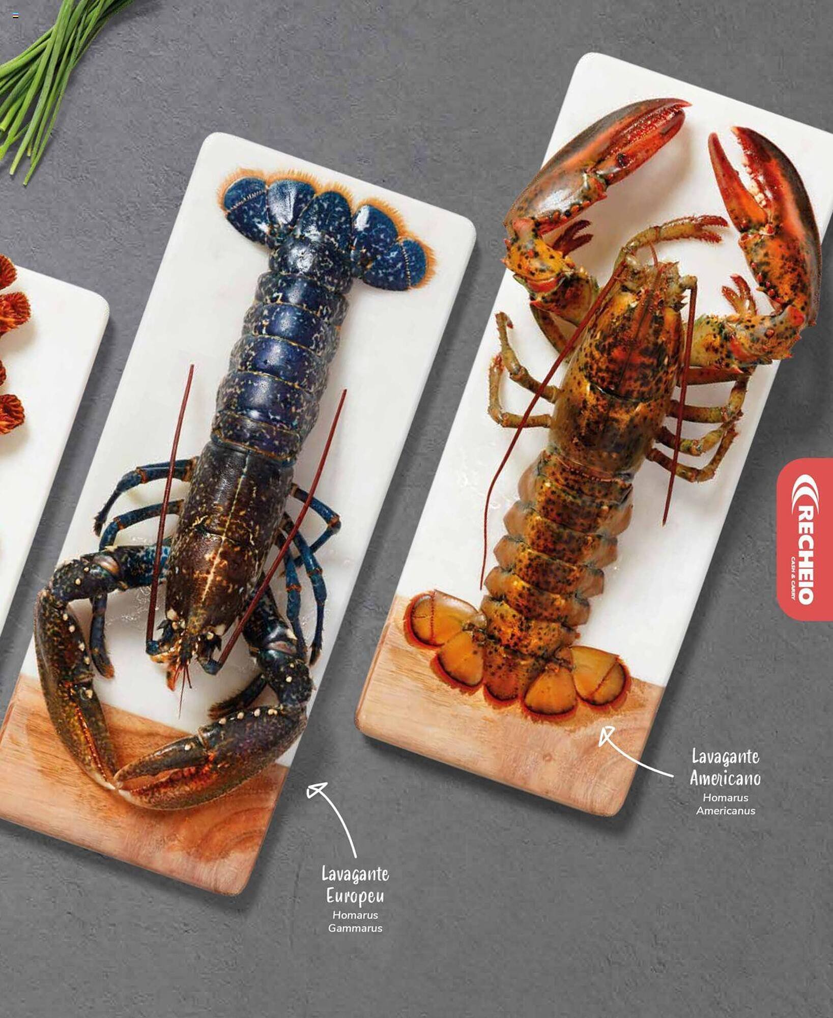 Folheto Recheio (2024-12-19 - 2025-12-31) | 27