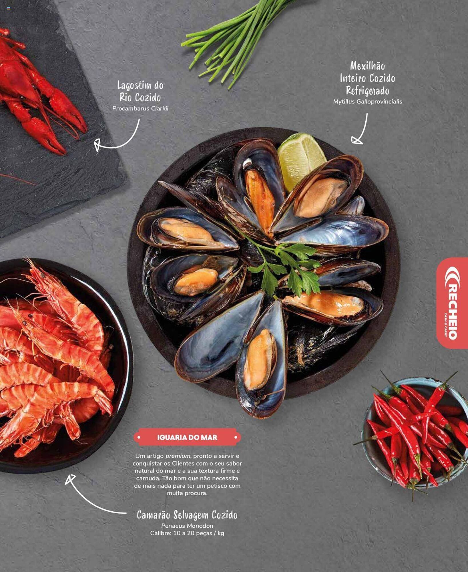 Folheto Recheio (2024-12-19 - 2025-12-31) | 31