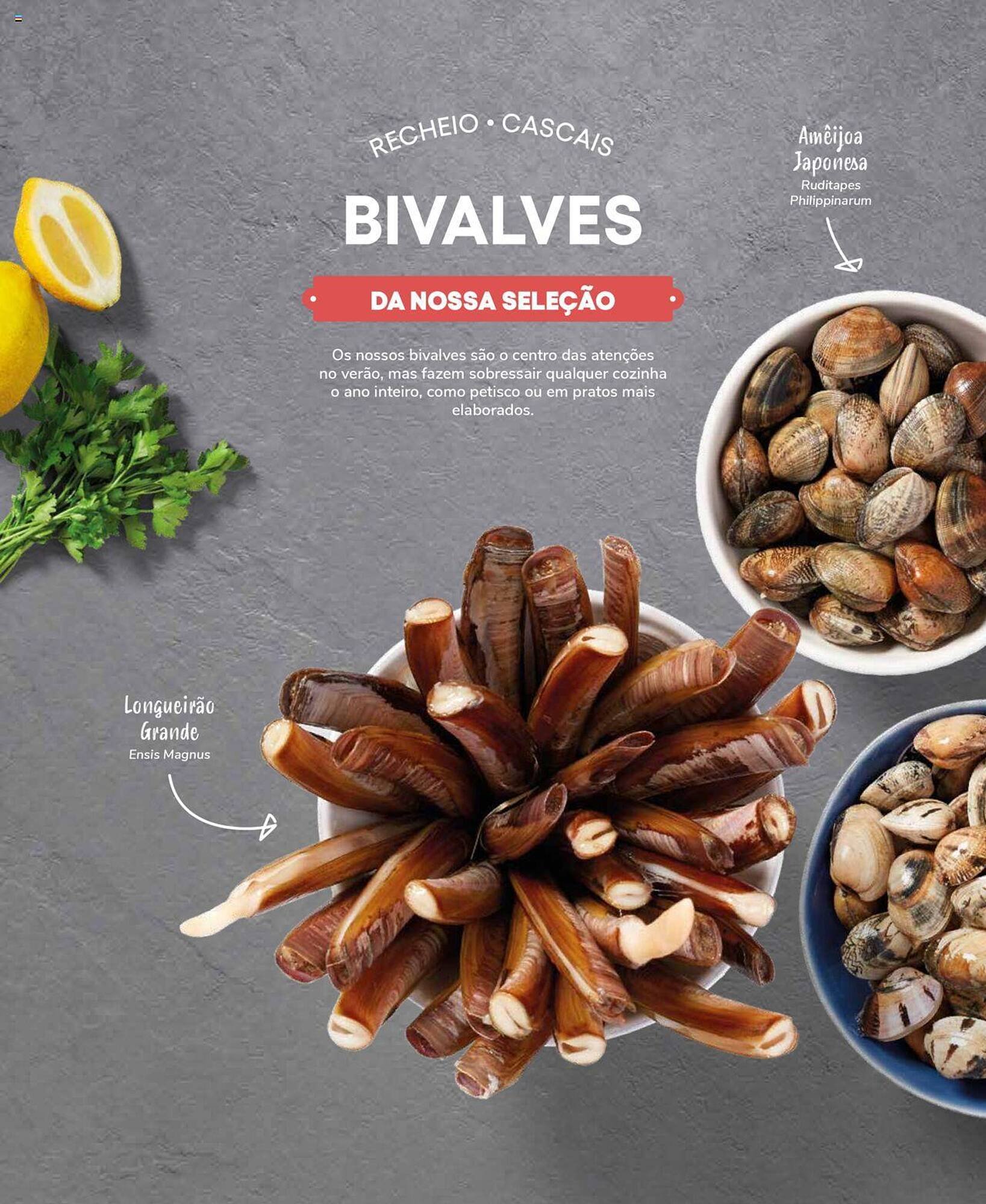 Folheto Recheio (2024-12-19 - 2025-12-31) | 32