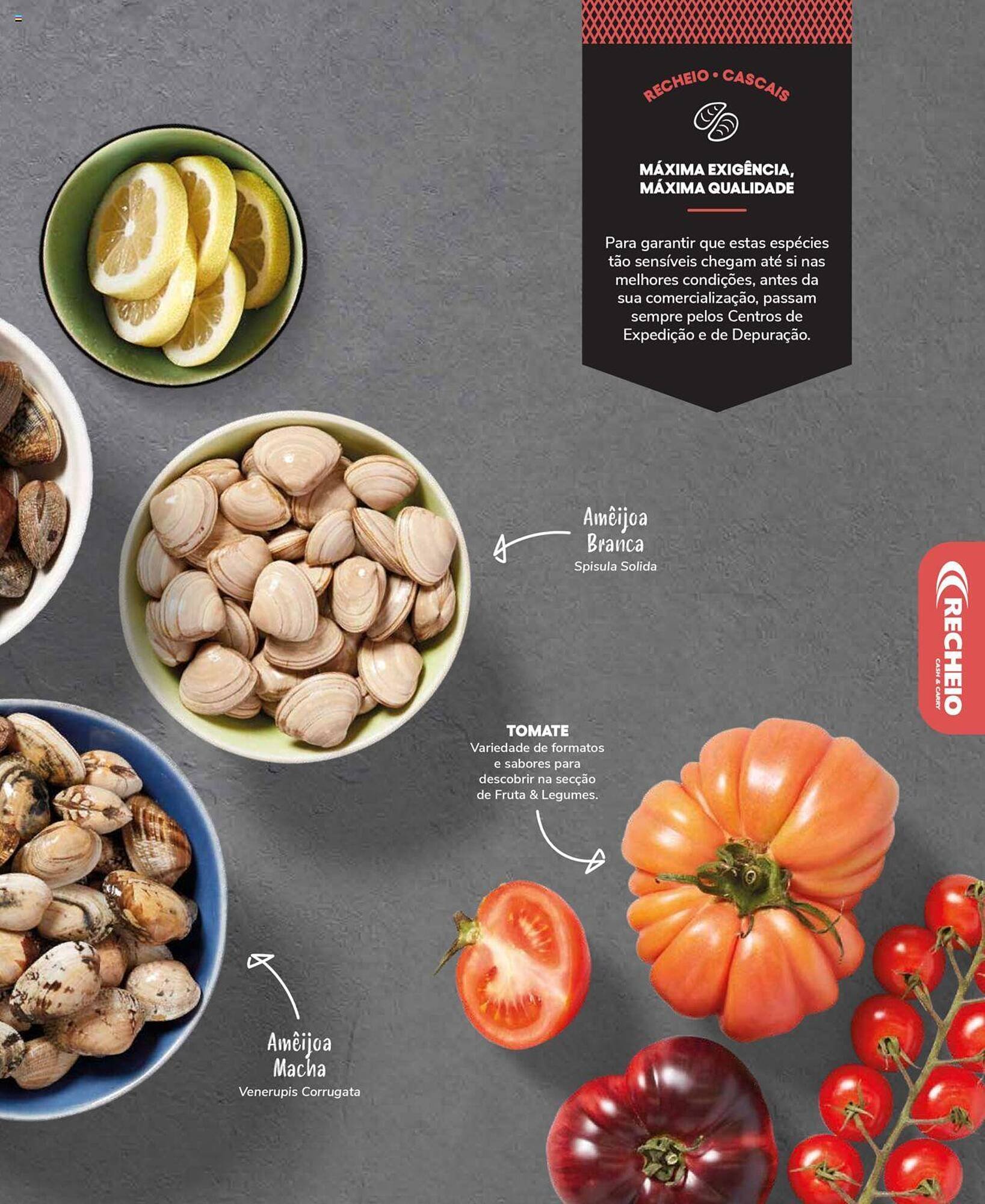 Folheto Recheio (2024-12-19 - 2025-12-31) | 33