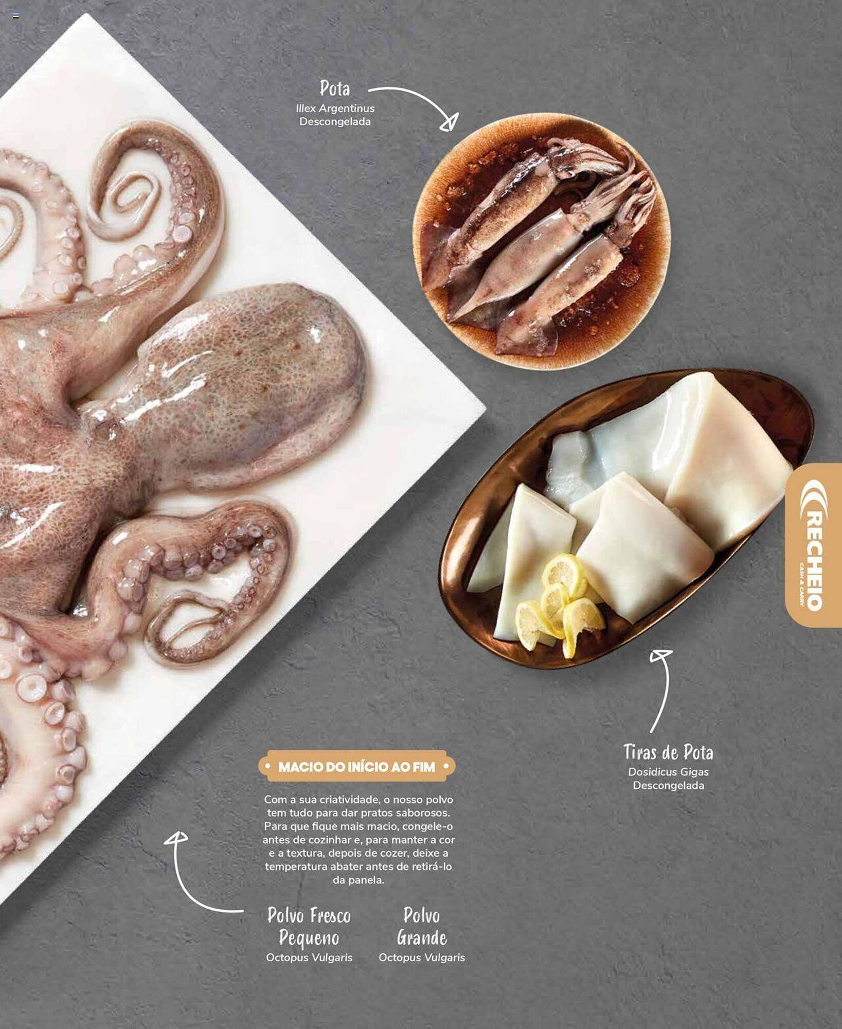 Folheto Recheio (2024-12-19 - 2025-12-31) | 37