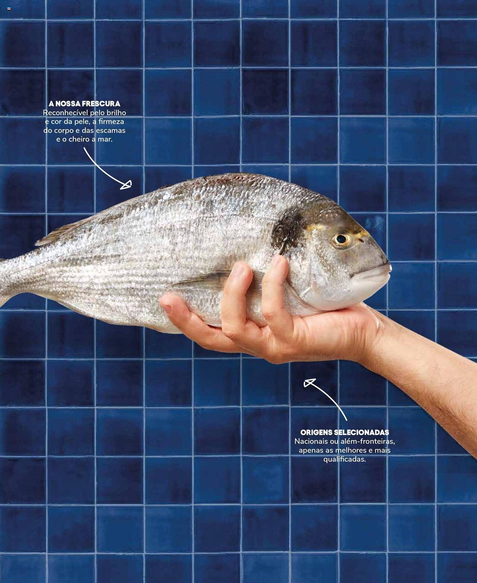 Folheto Recheio (2024-12-19 - 2025-12-31) | 7