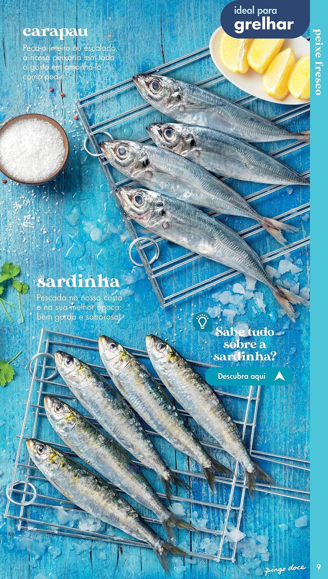 Folheto Pingo Doce (2024-12-10 - 2026-01-01) | 9