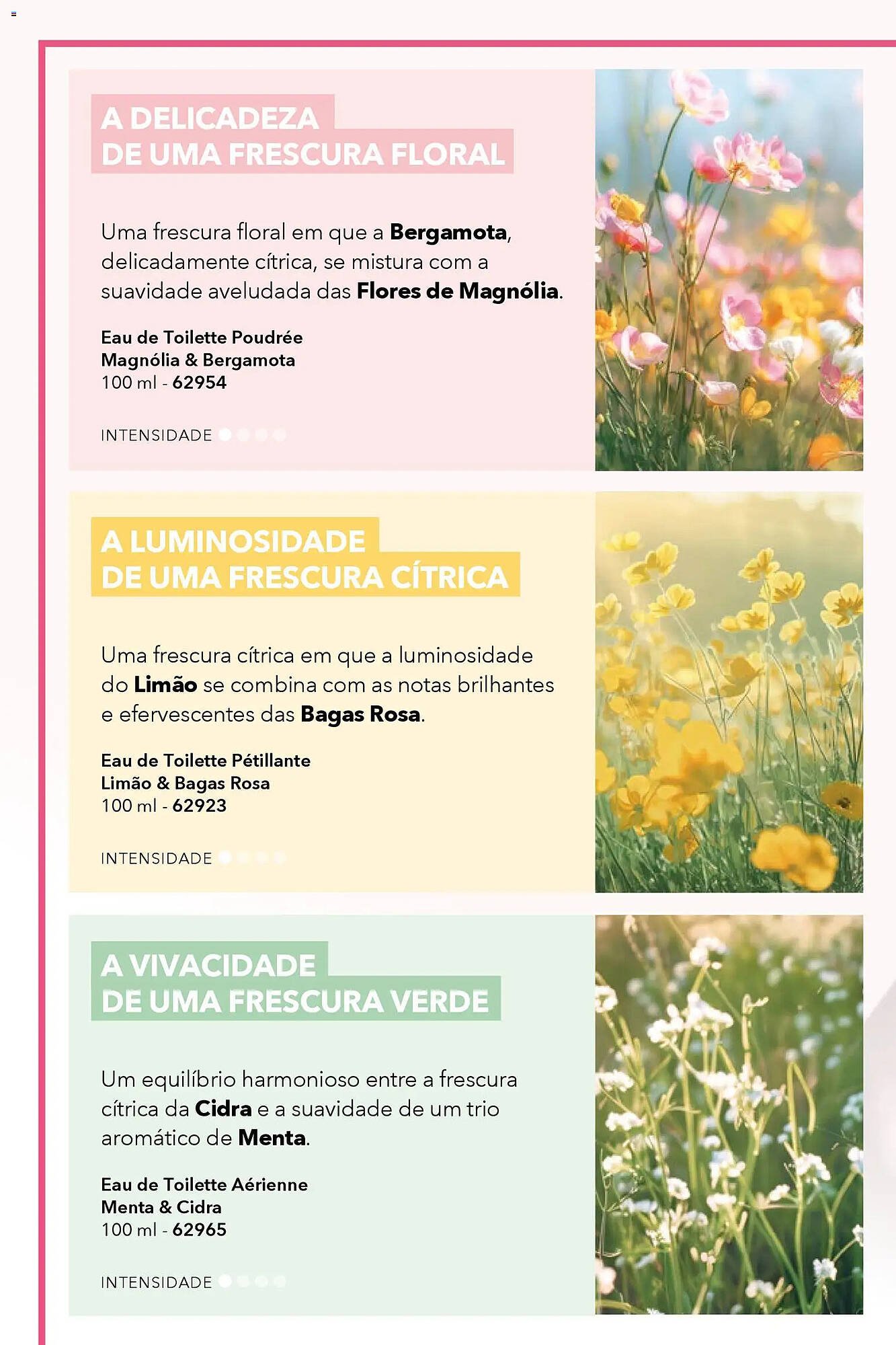 Catálogo Yves Rocher (2026-04-17 - 2026-05-12) | 4