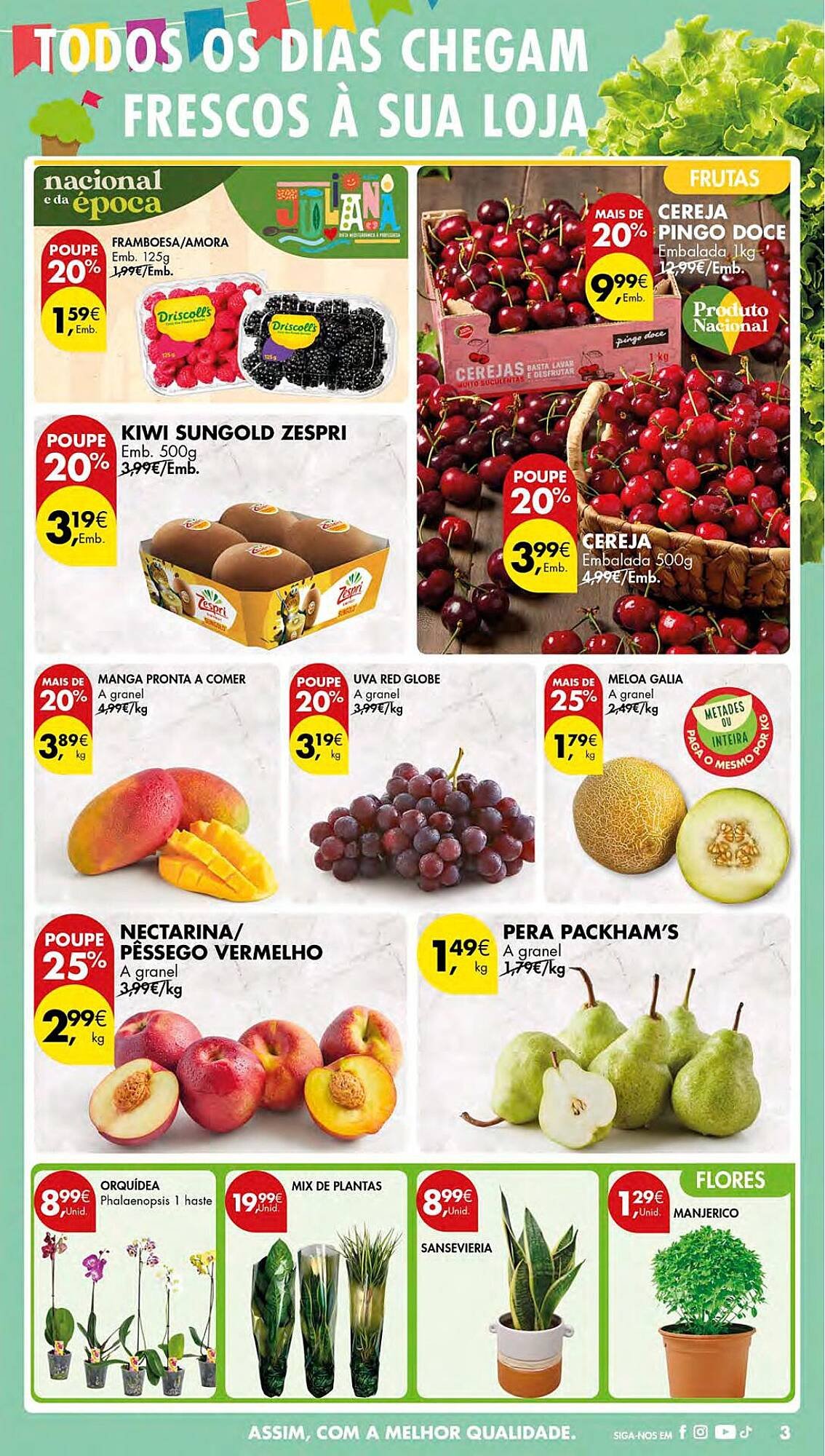 Folheto Pingo Doce (2025-06-23 - 2025-12-17) | 3