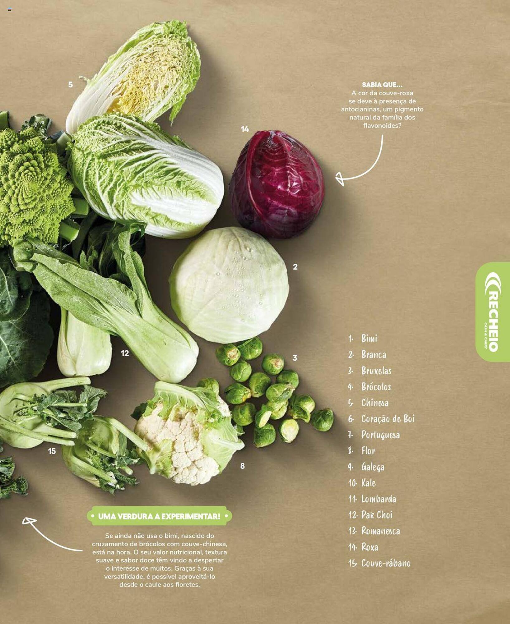 Folheto Recheio (2024-12-19 - 2025-12-31) | 11