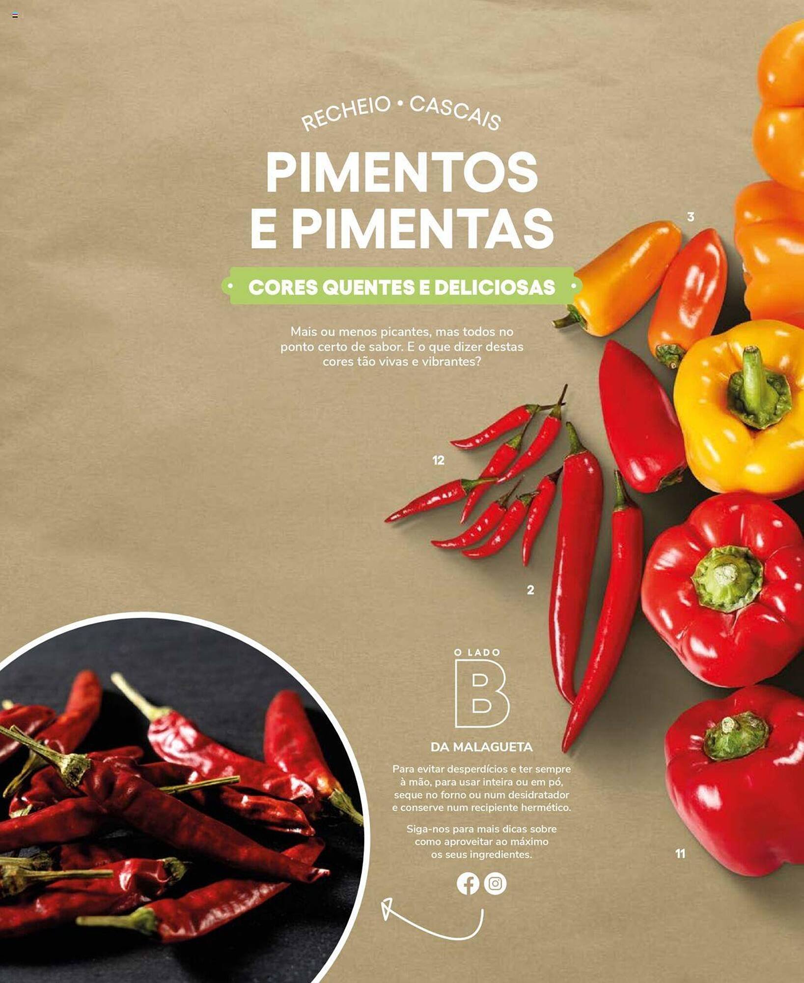 Folheto Recheio (2024-12-19 - 2025-12-31) | 18