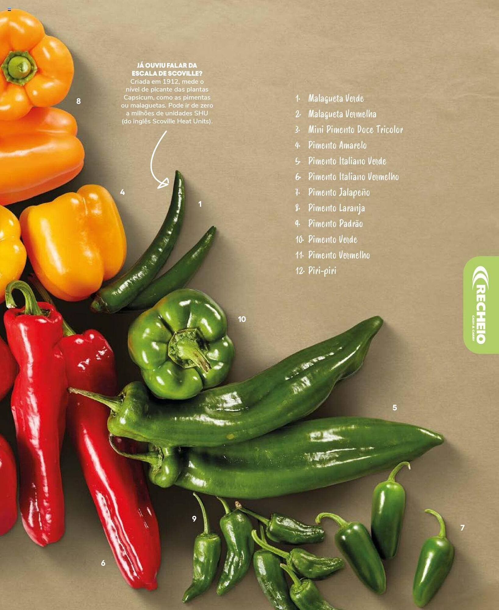 Folheto Recheio (2024-12-19 - 2025-12-31) | 19