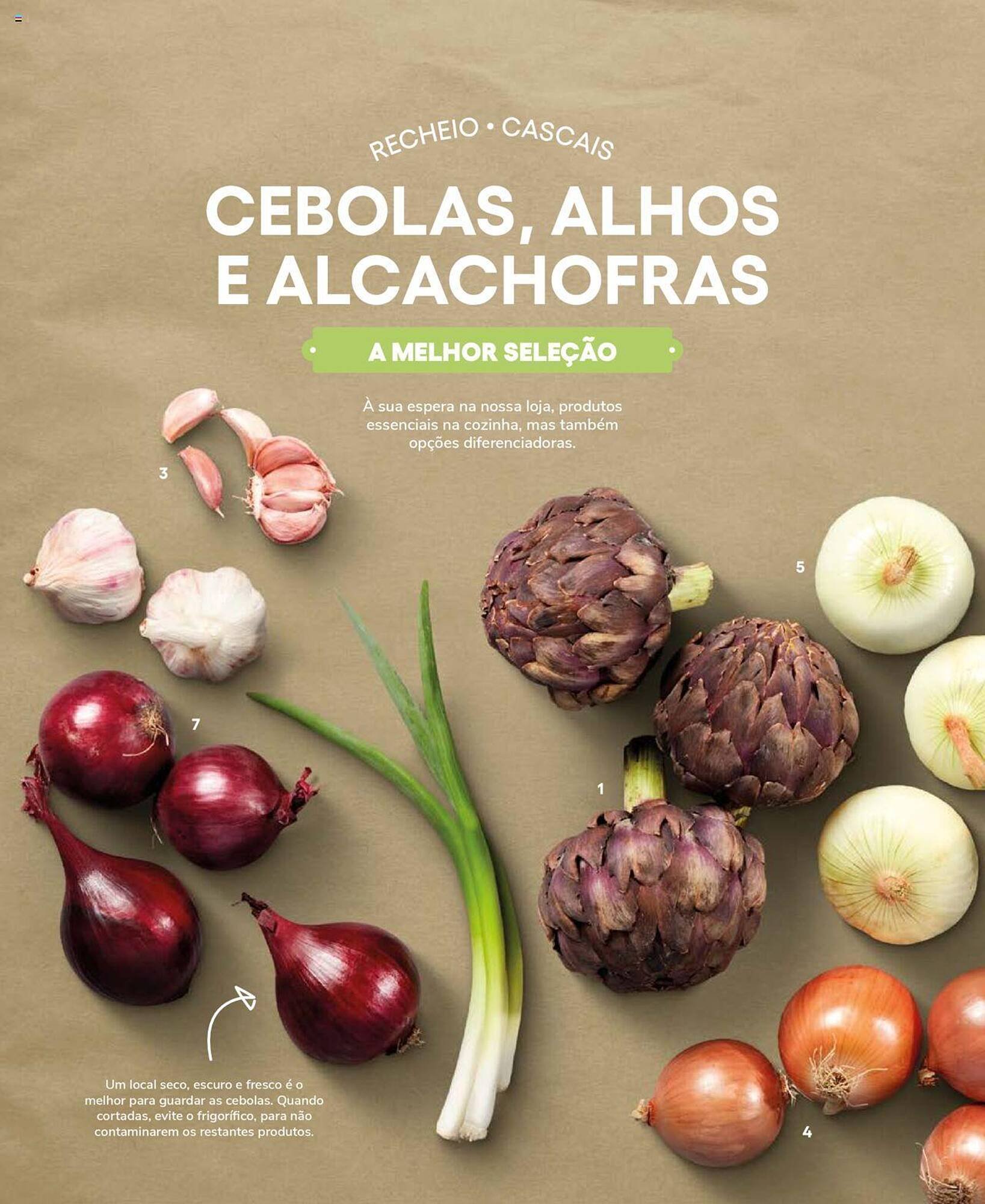 Folheto Recheio (2024-12-19 - 2025-12-31) | 20