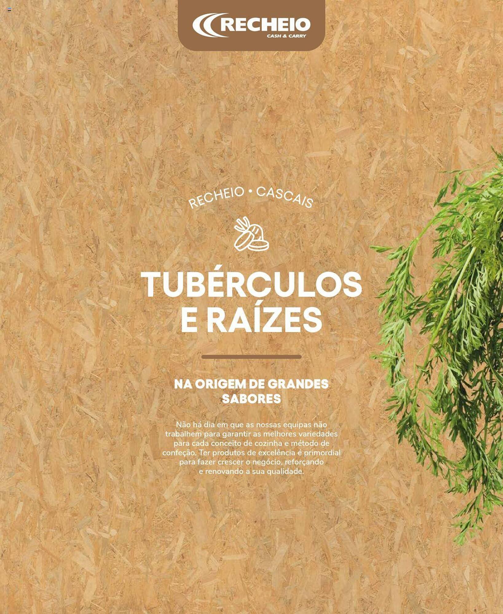 Folheto Recheio (2024-12-19 - 2025-12-31) | 22