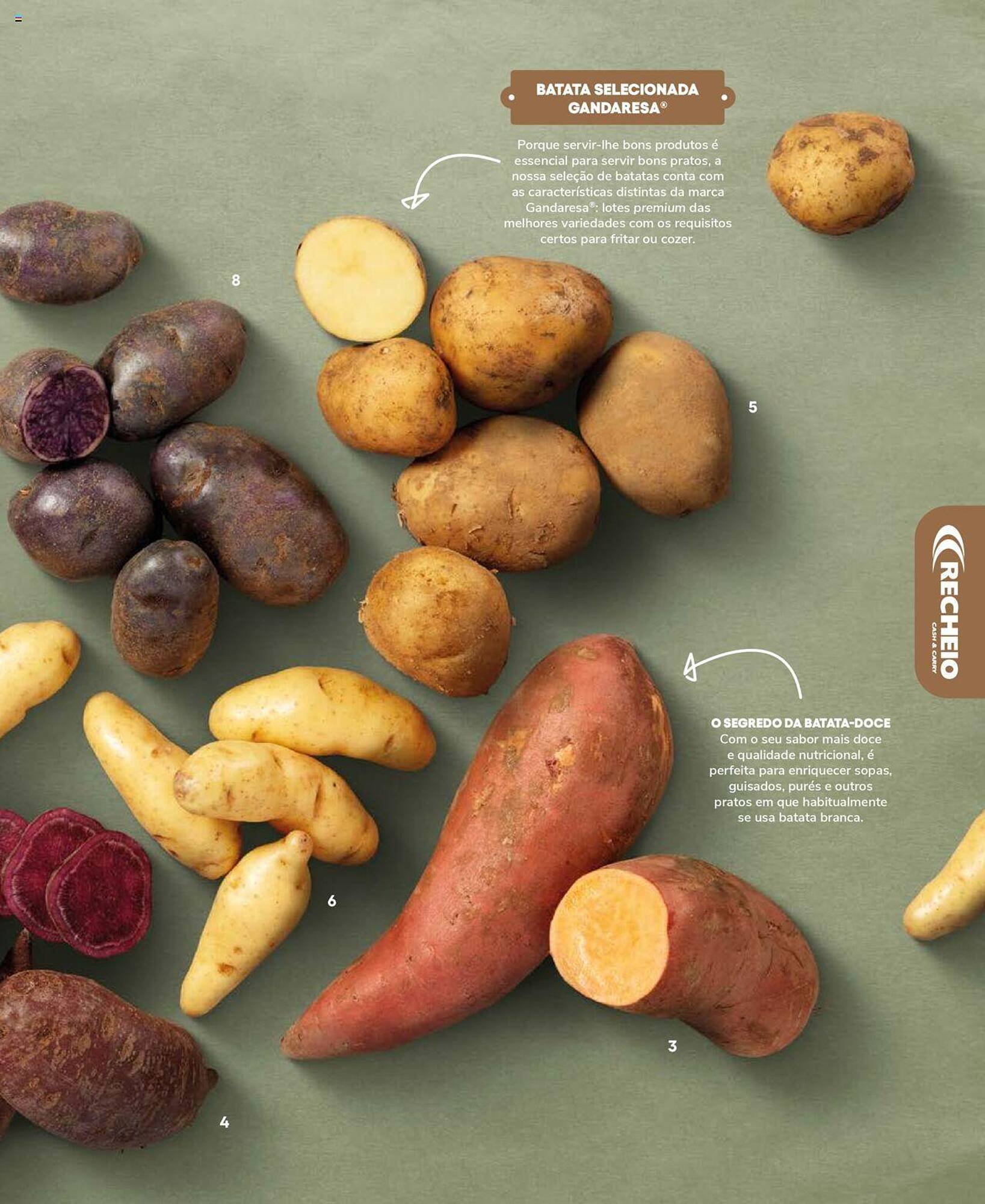 Folheto Recheio (2024-12-19 - 2025-12-31) | 25