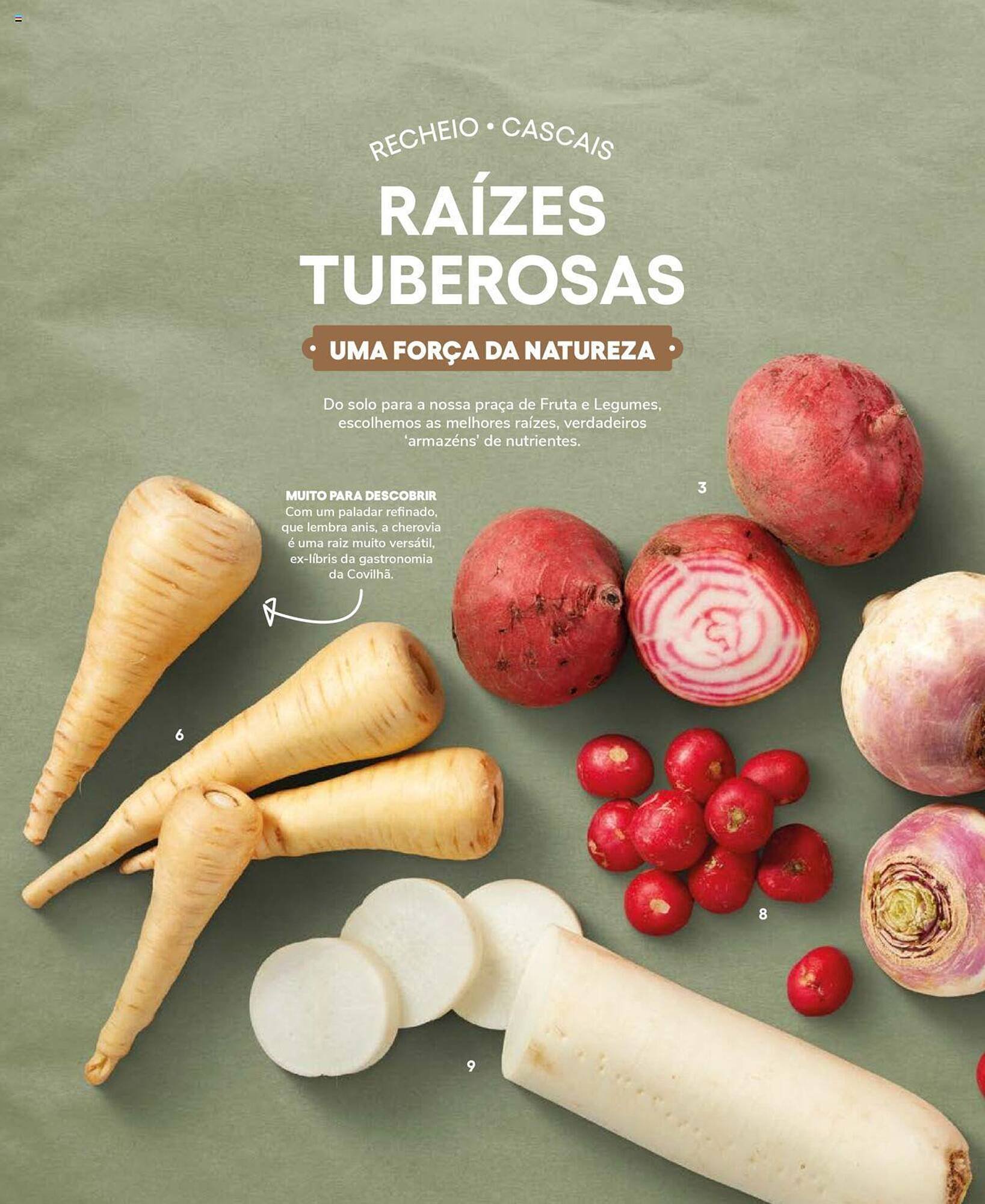 Folheto Recheio (2024-12-19 - 2025-12-31) | 26