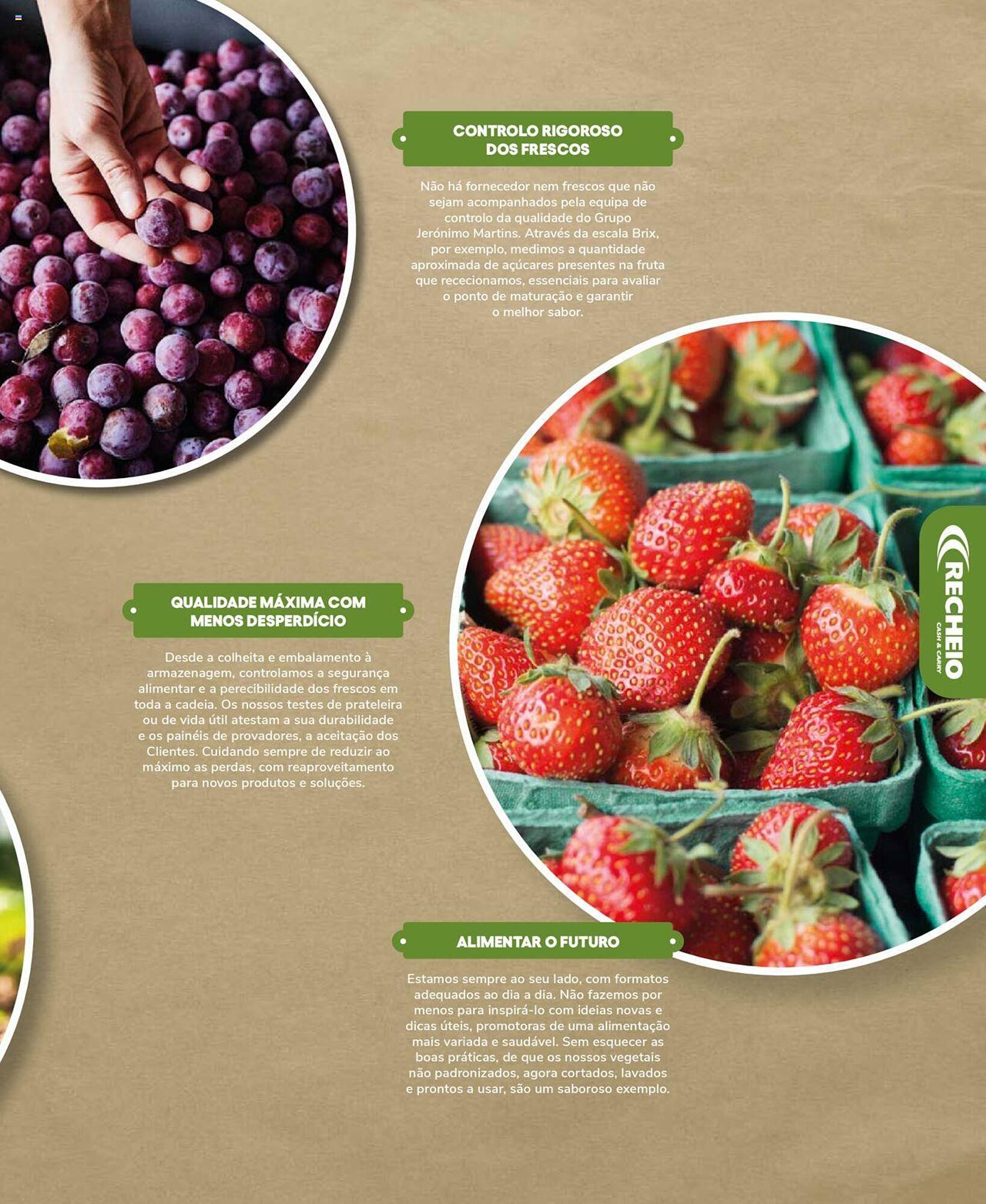 Folheto Recheio (2024-12-19 - 2025-12-31) | 5