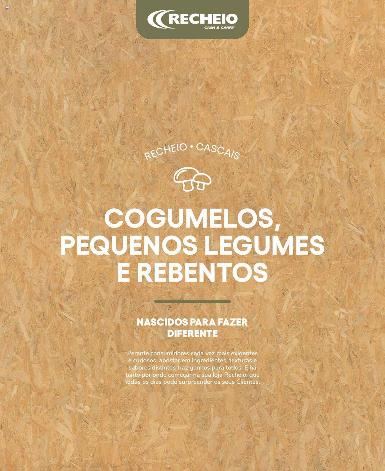 Folheto Recheio (2024-12-19 - 2025-12-31) | 42