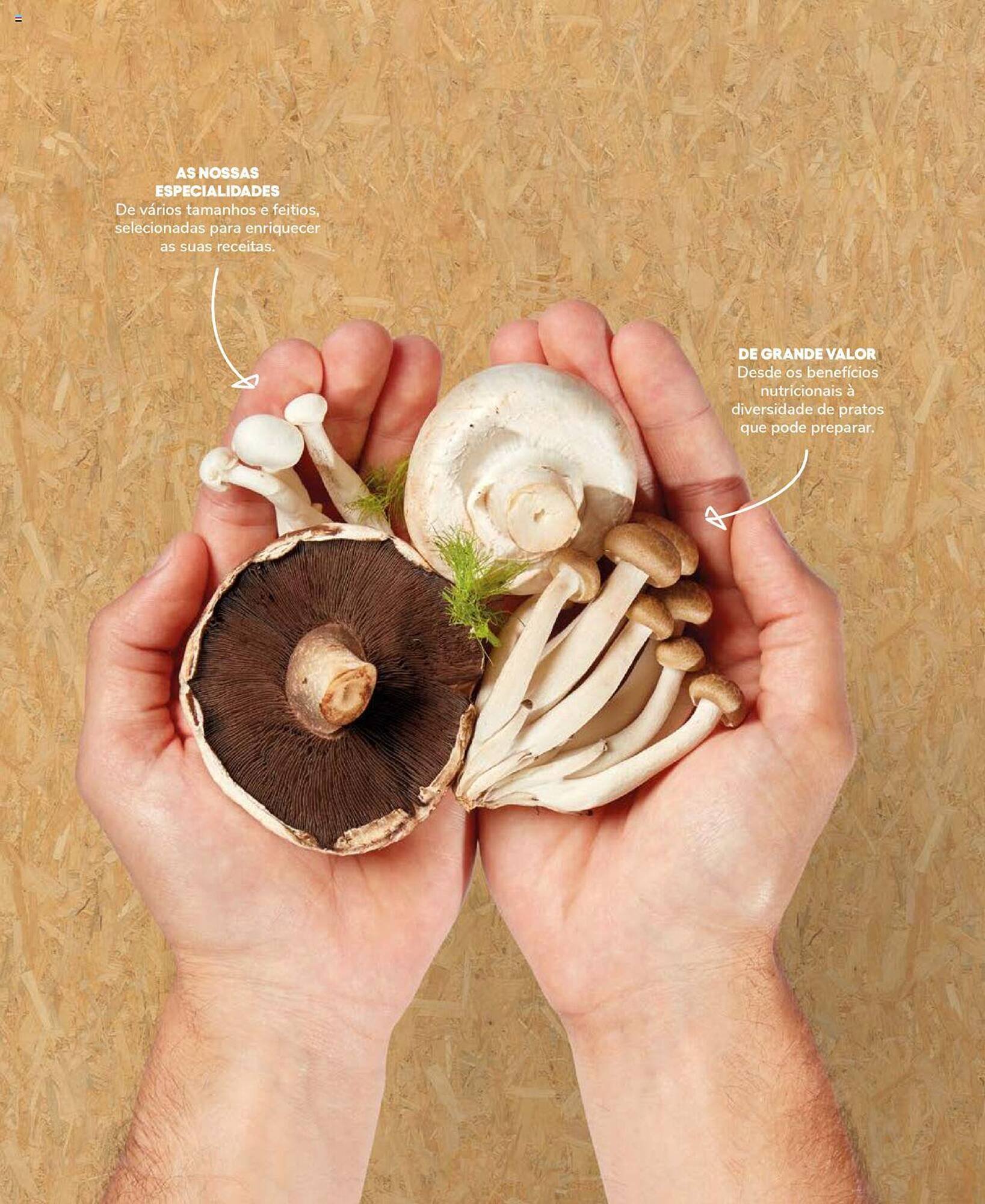 Folheto Recheio (2024-12-19 - 2025-12-31) | 43