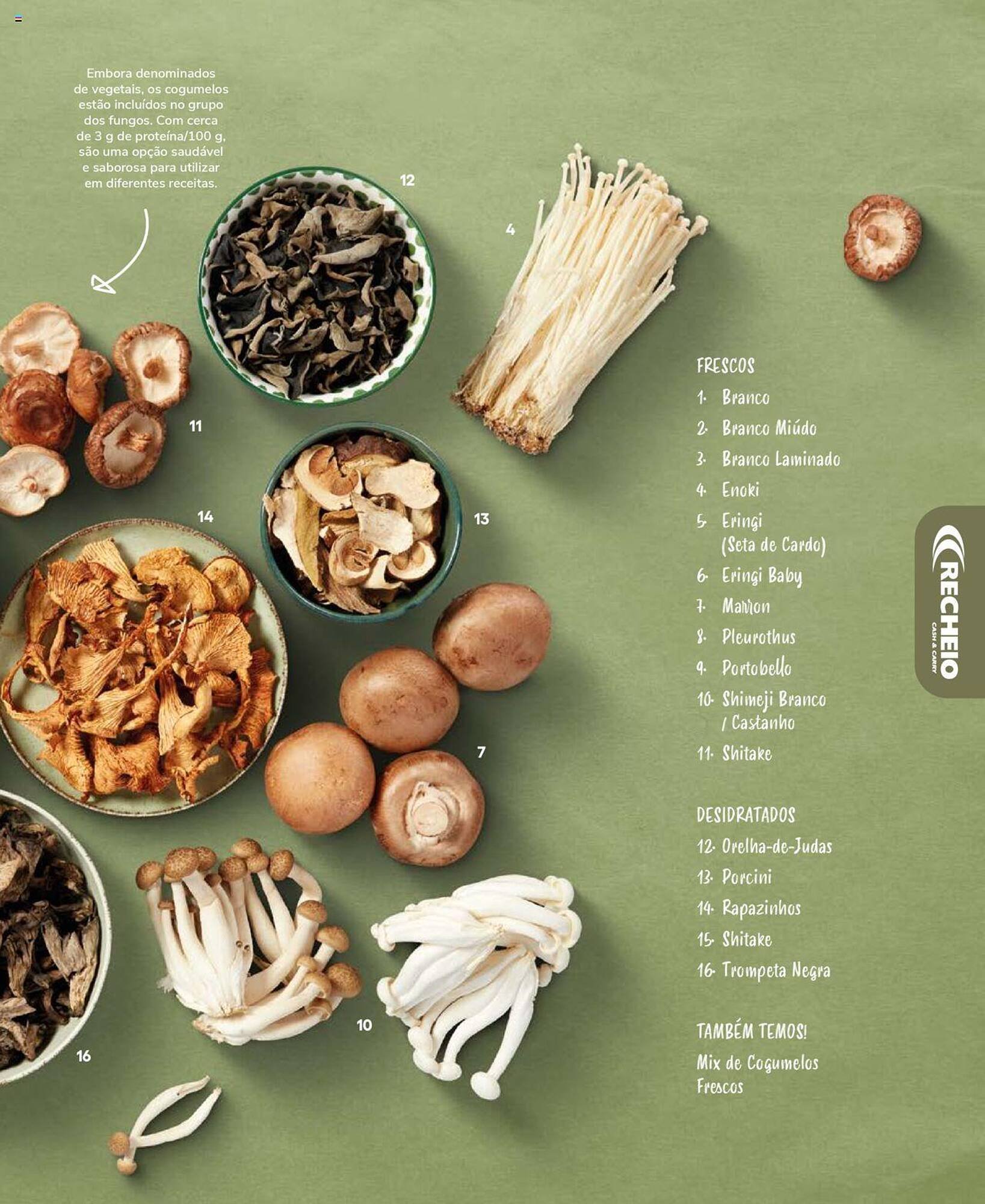 Folheto Recheio (2024-12-19 - 2025-12-31) | 45