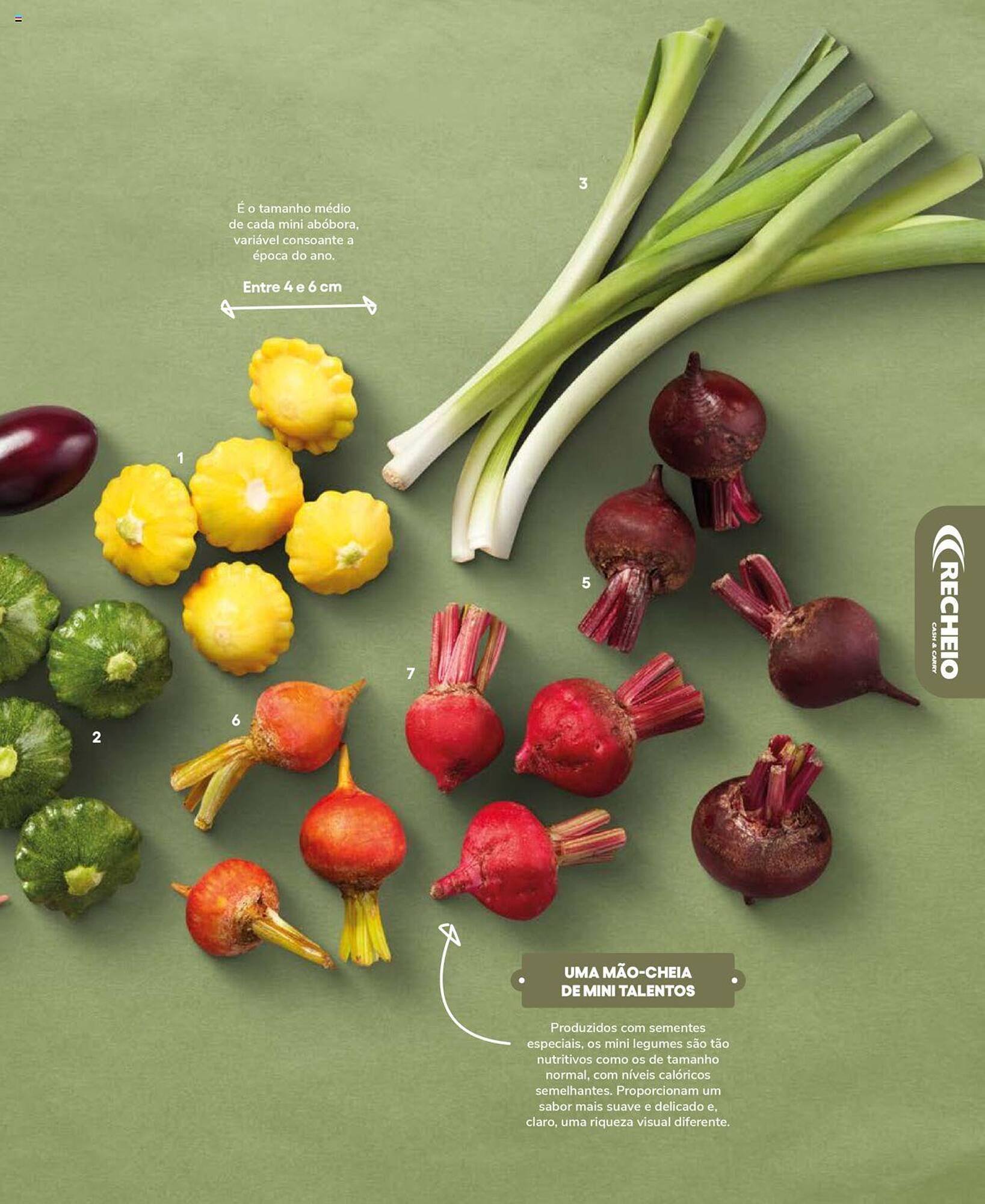 Folheto Recheio (2024-12-19 - 2025-12-31) | 47