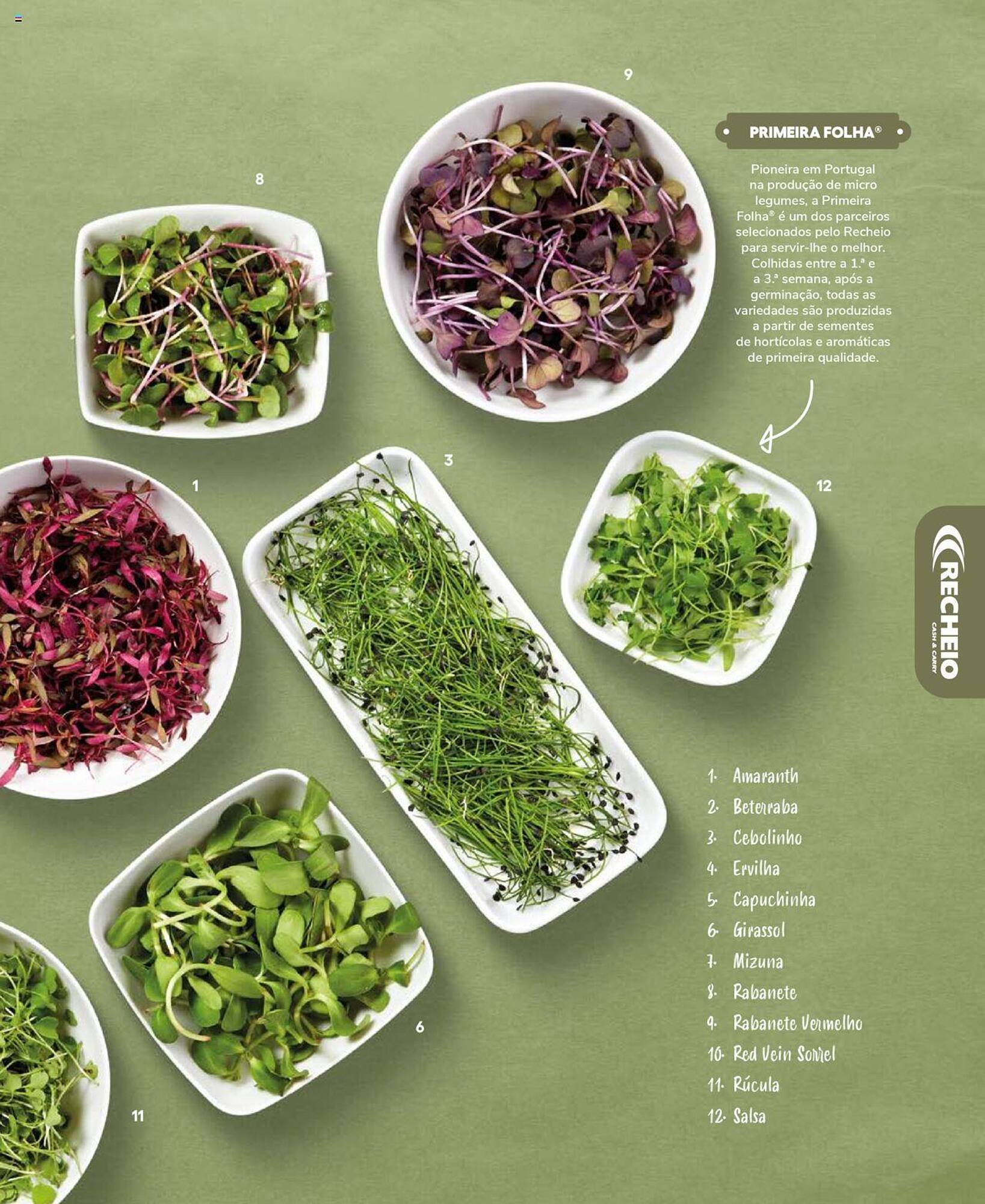 Folheto Recheio (2024-12-19 - 2025-12-31) | 51