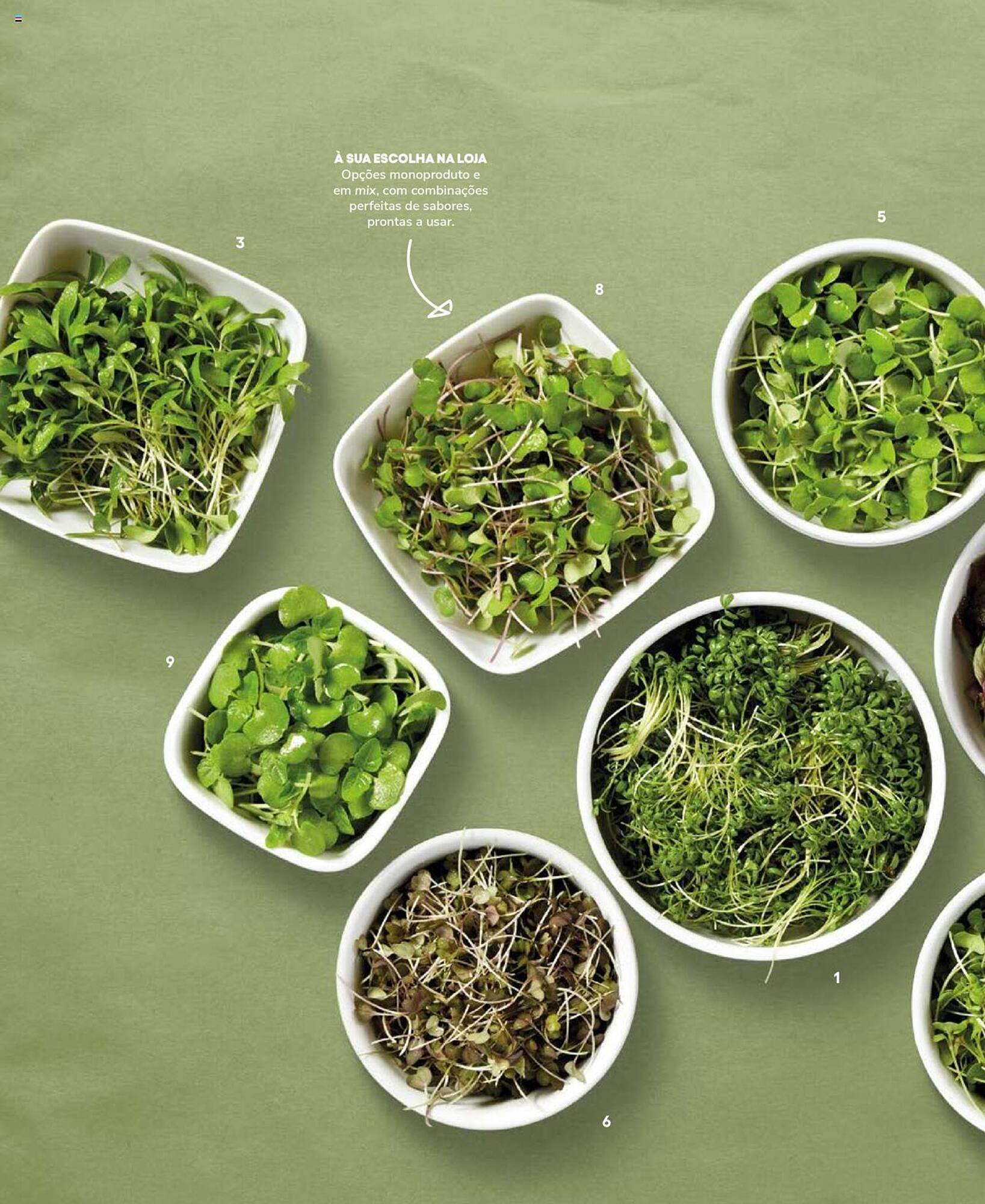 Folheto Recheio (2024-12-19 - 2025-12-31) | 52