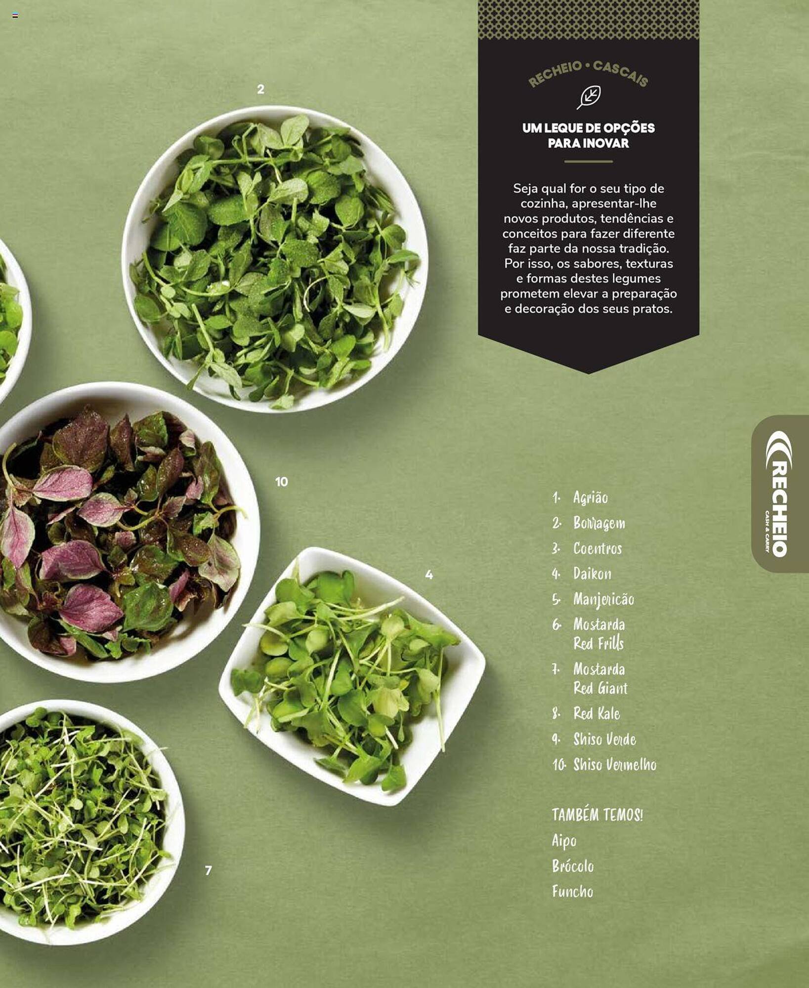 Folheto Recheio (2024-12-19 - 2025-12-31) | 53