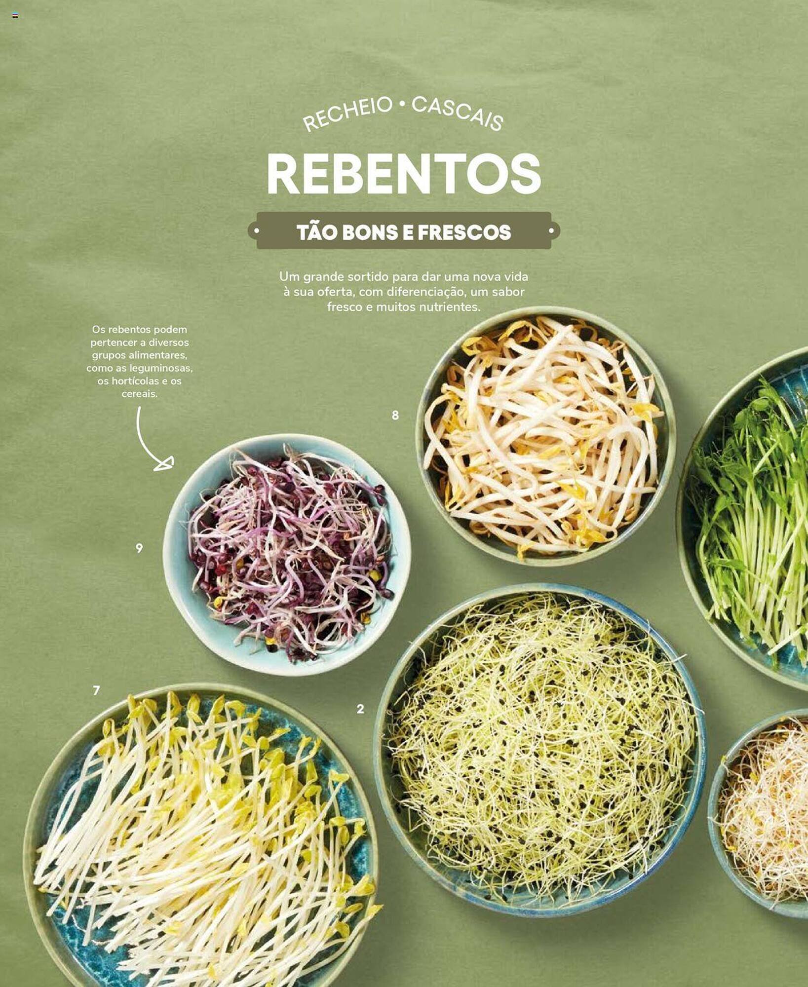 Folheto Recheio (2024-12-19 - 2025-12-31) | 54