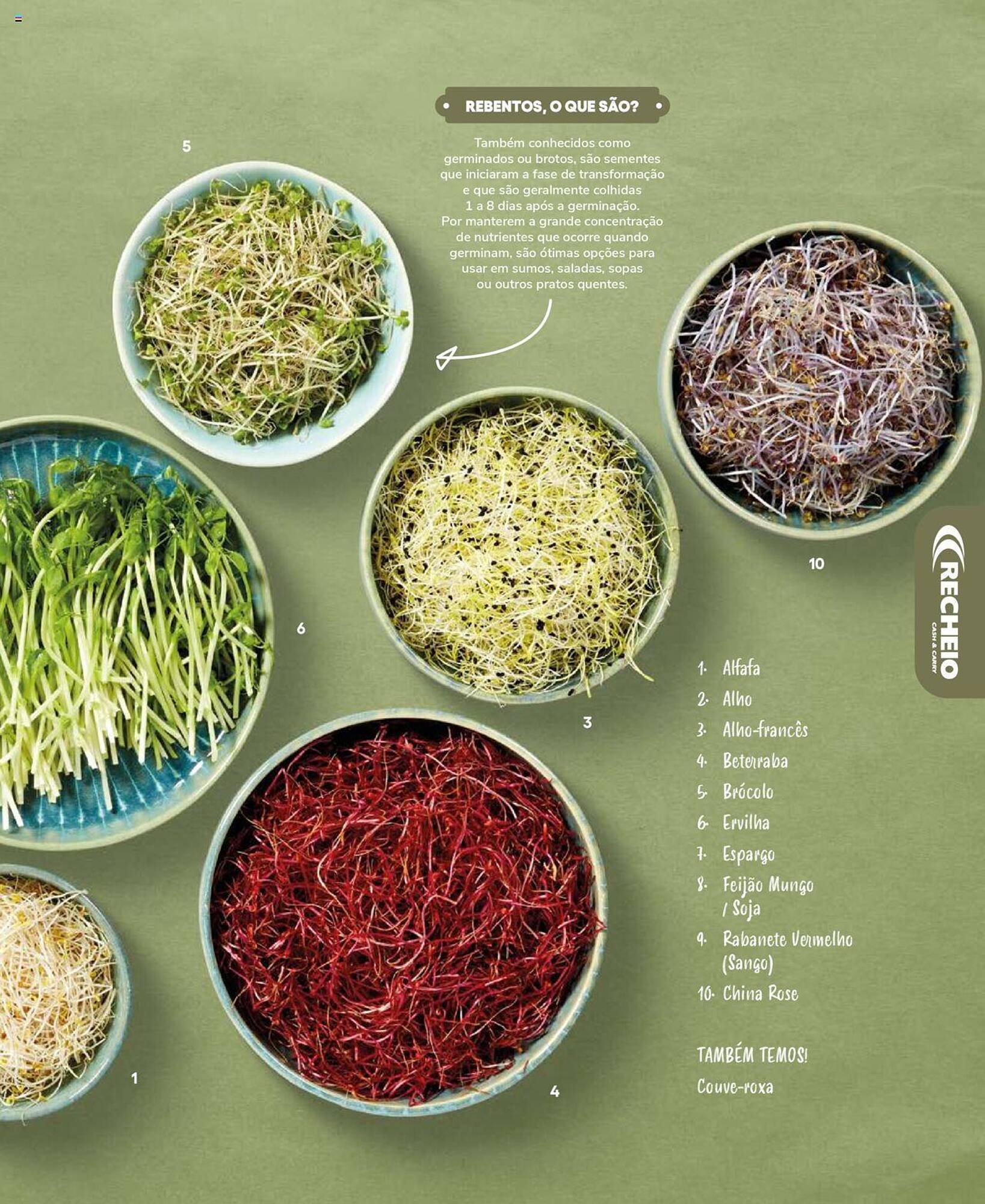 Folheto Recheio (2024-12-19 - 2025-12-31) | 55