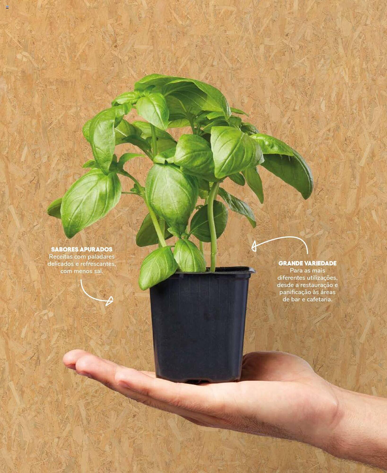 Folheto Recheio (2024-12-19 - 2025-12-31) | 57