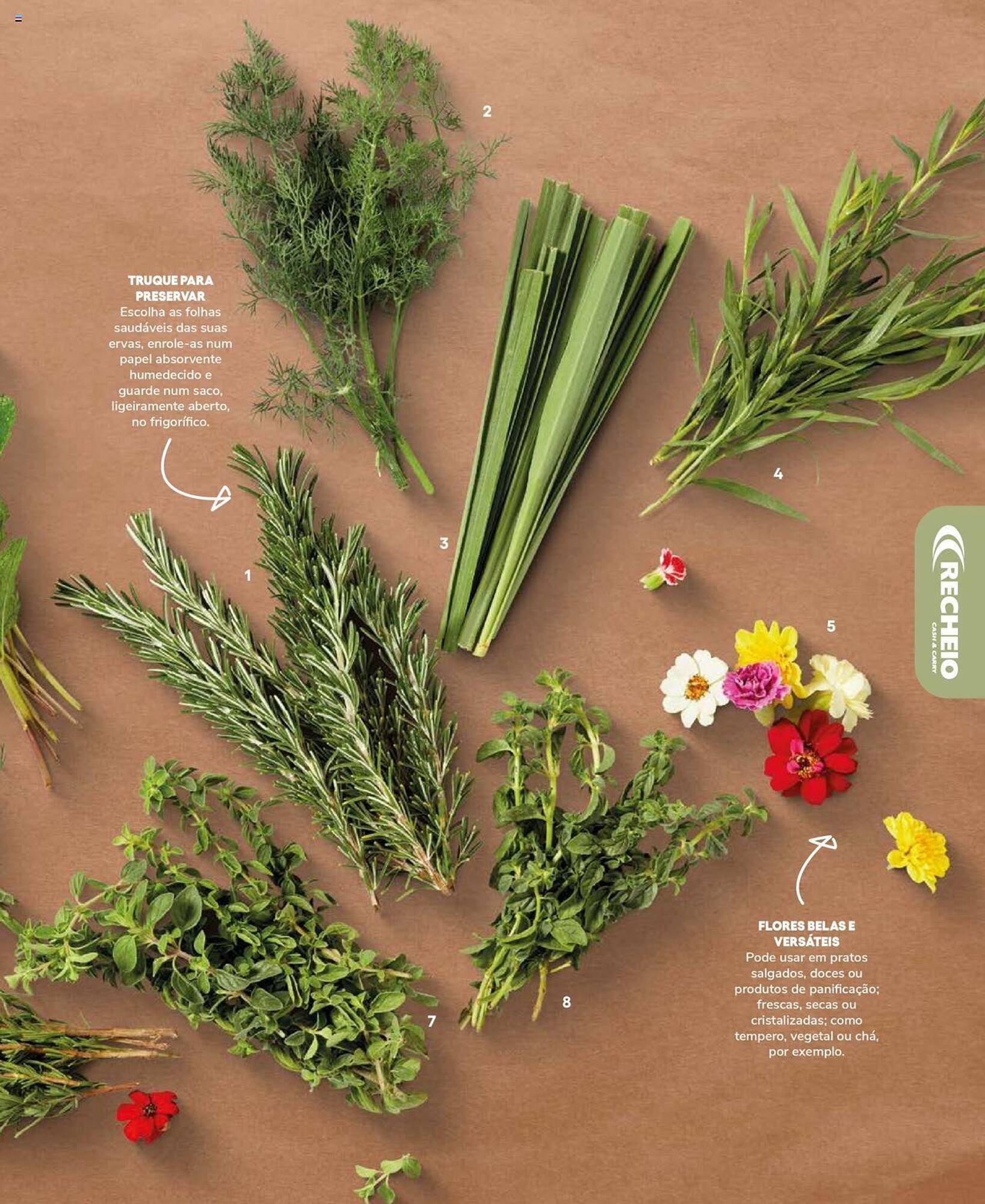 Folheto Recheio (2024-12-19 - 2025-12-31) | 61