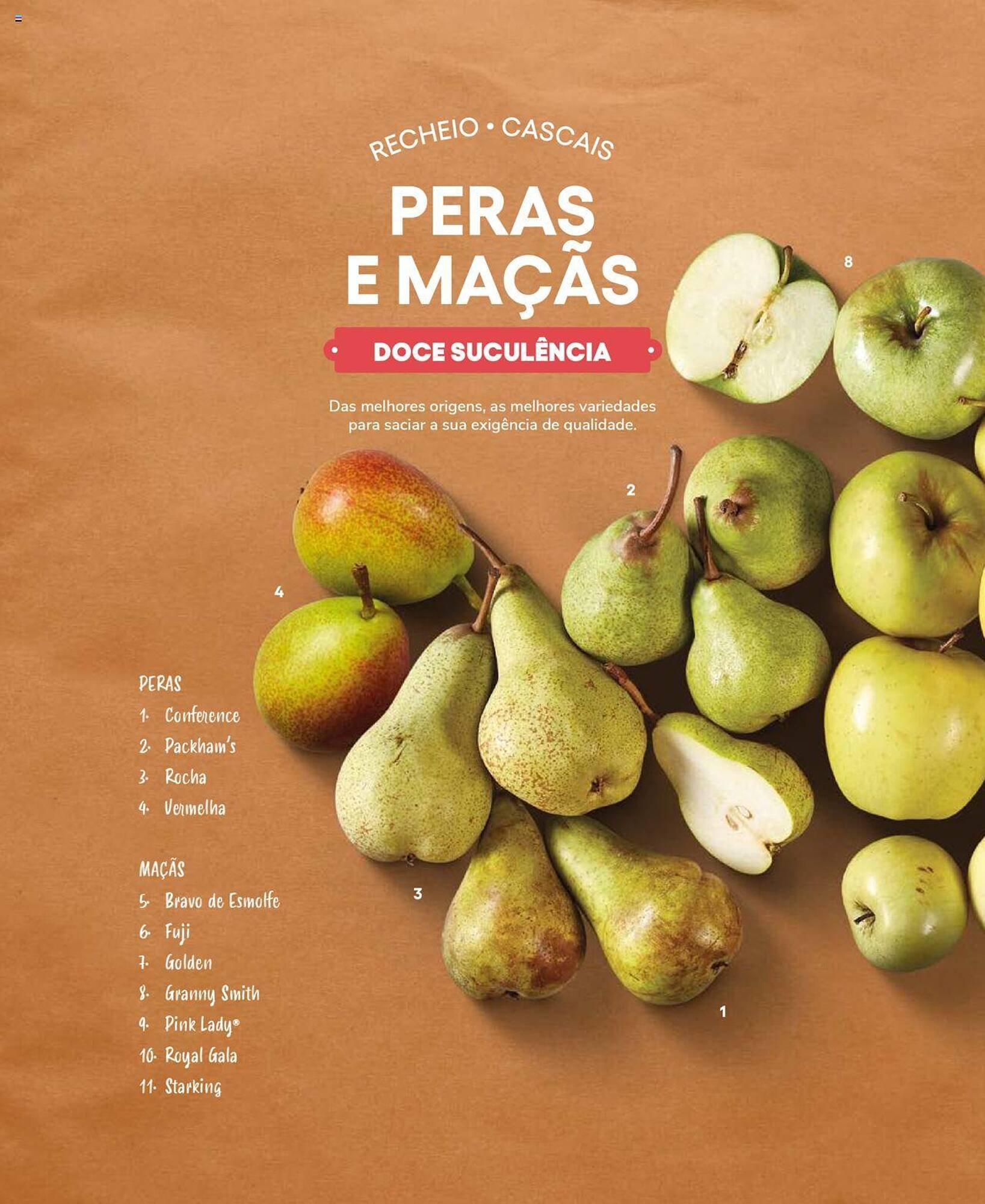 Folheto Recheio (2024-12-19 - 2025-12-31) | 66