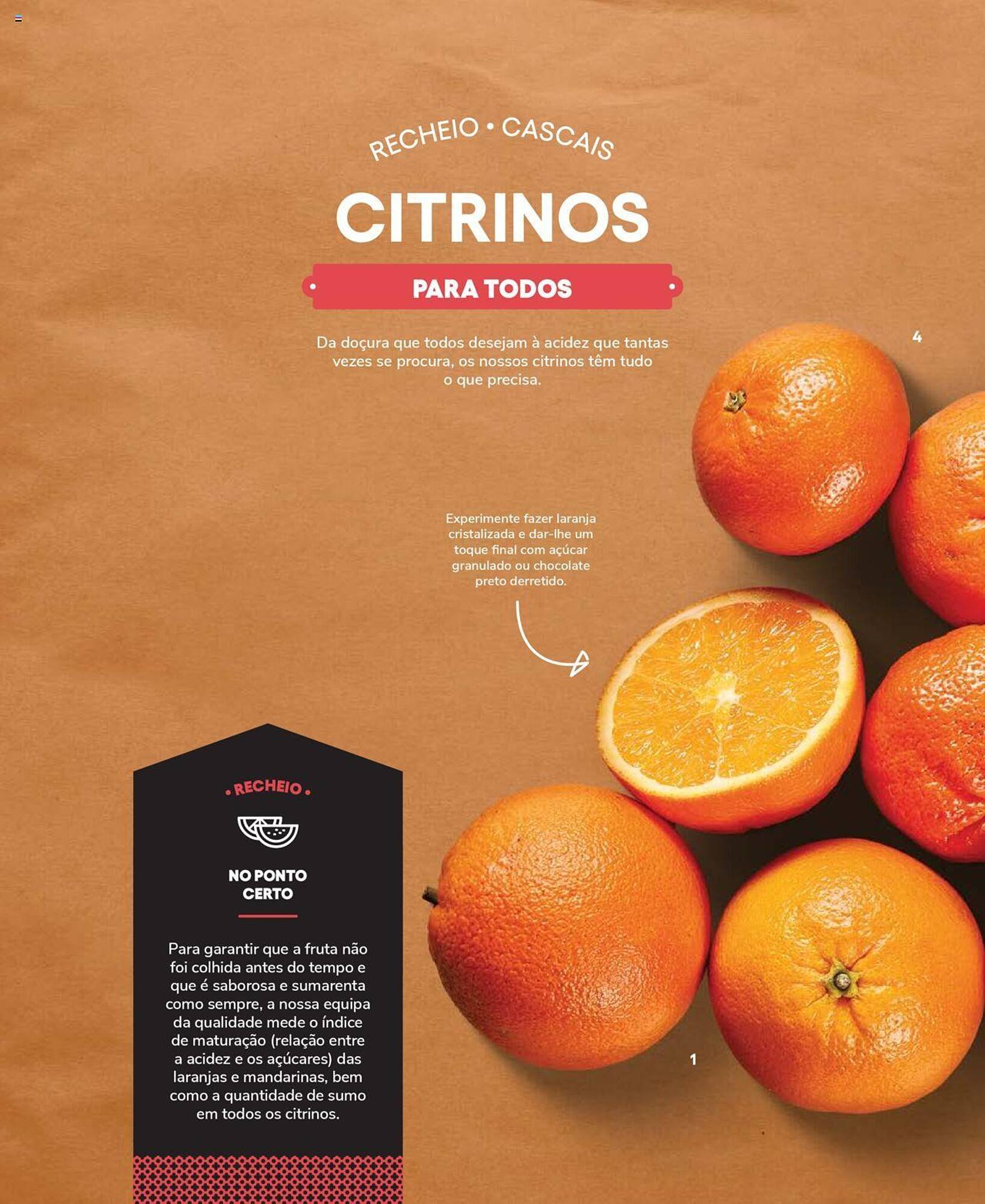 Folheto Recheio (2024-12-19 - 2025-12-31) | 72