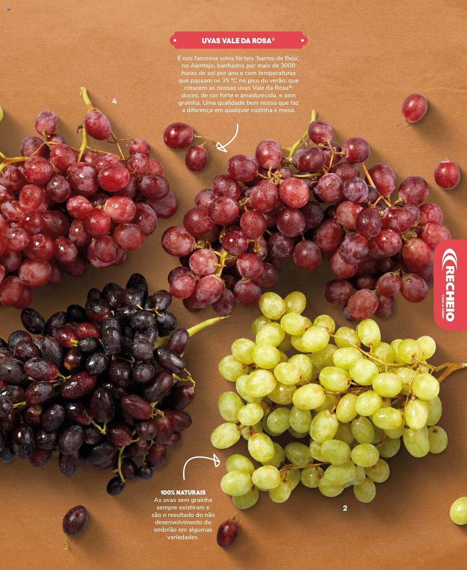 Folheto Recheio (2024-12-19 - 2025-12-31) | 75