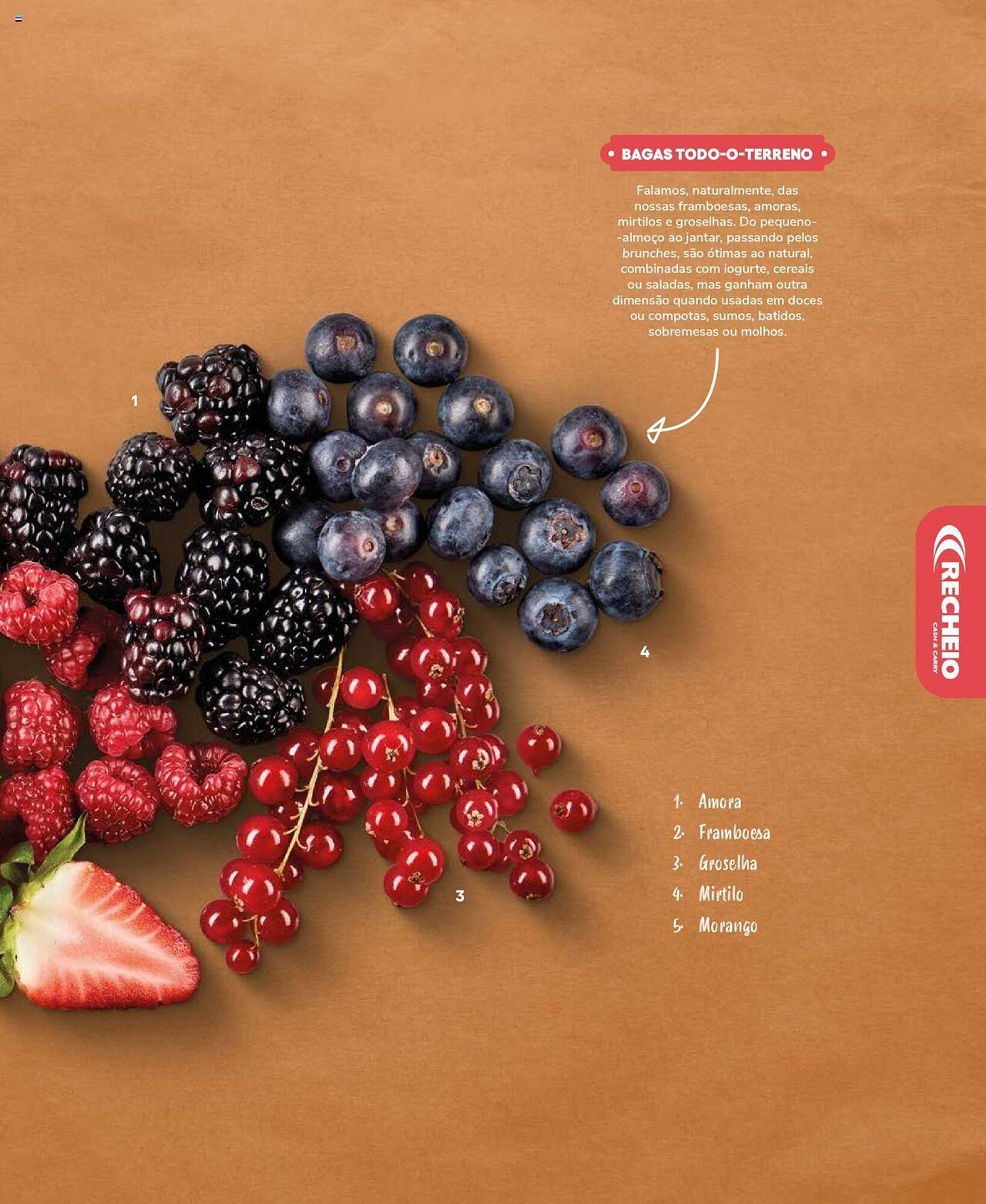 Folheto Recheio (2024-12-19 - 2025-12-31) | 77